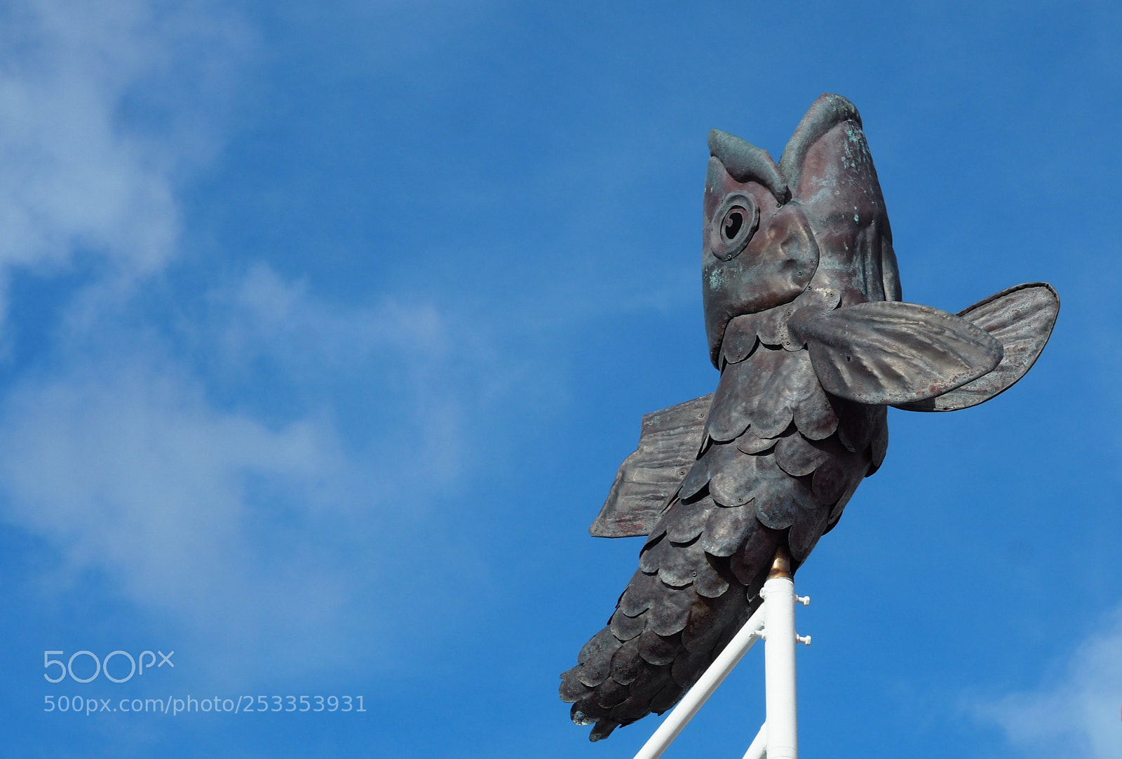 Olympus OM-D E-M5 II sample photo. Flying fish photography