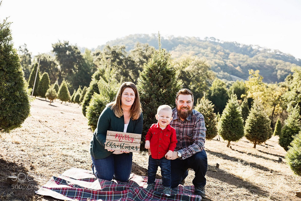 Nikon D810 sample photo. Find best family photographers photography