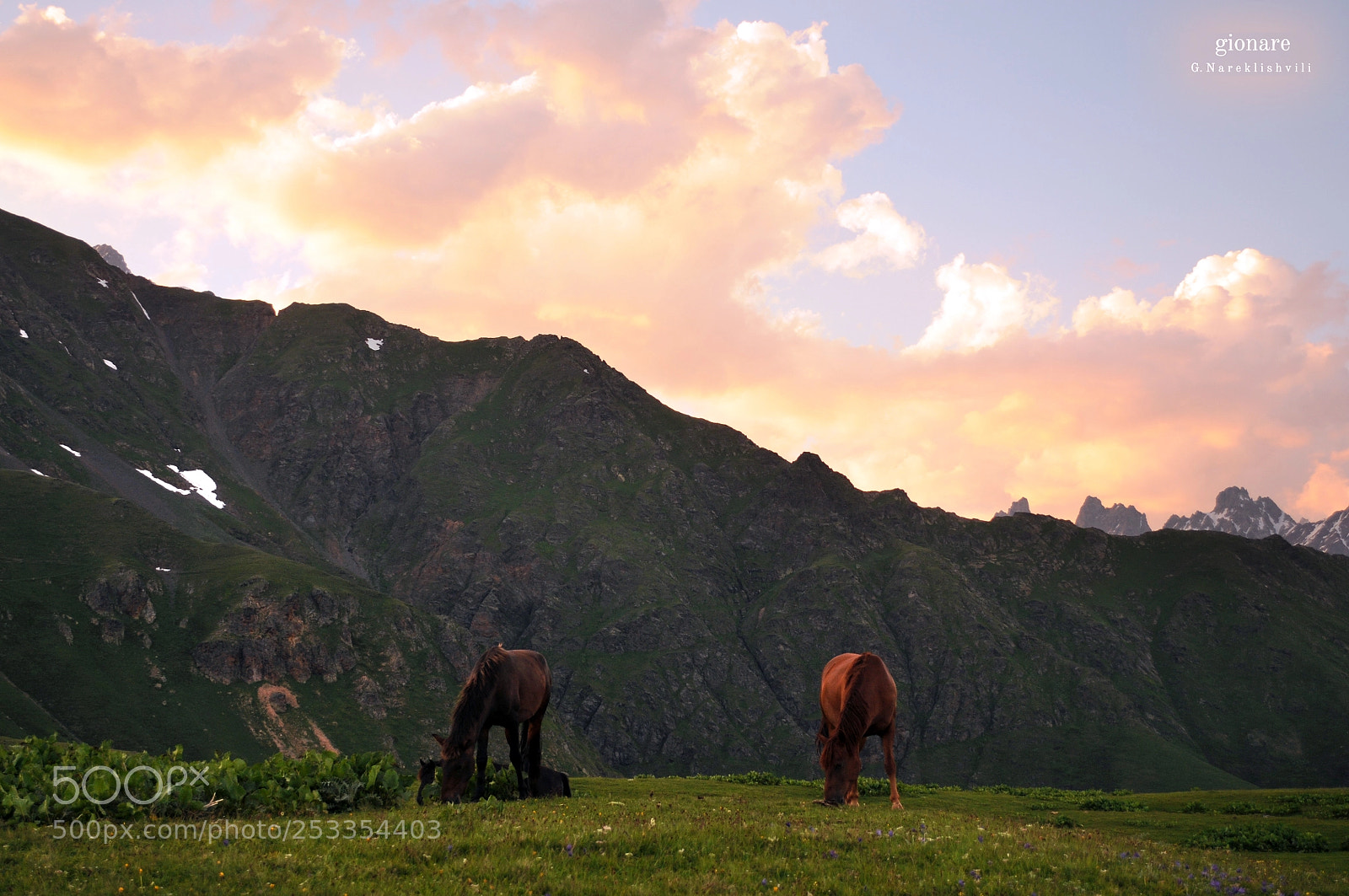 Nikon D300 sample photo. Georgia svaneti photography