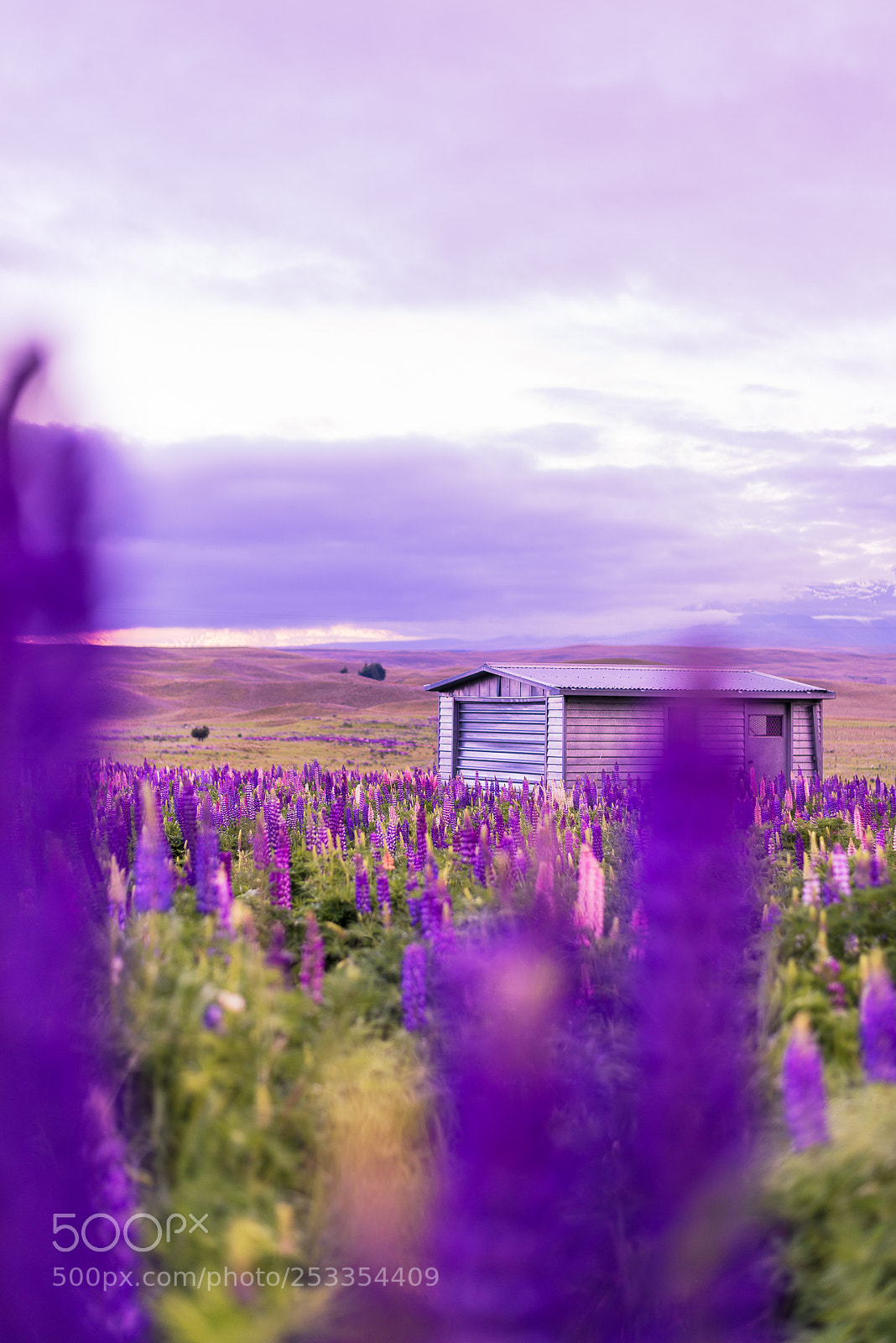 Nikon D610 sample photo. Lake tekapo photography