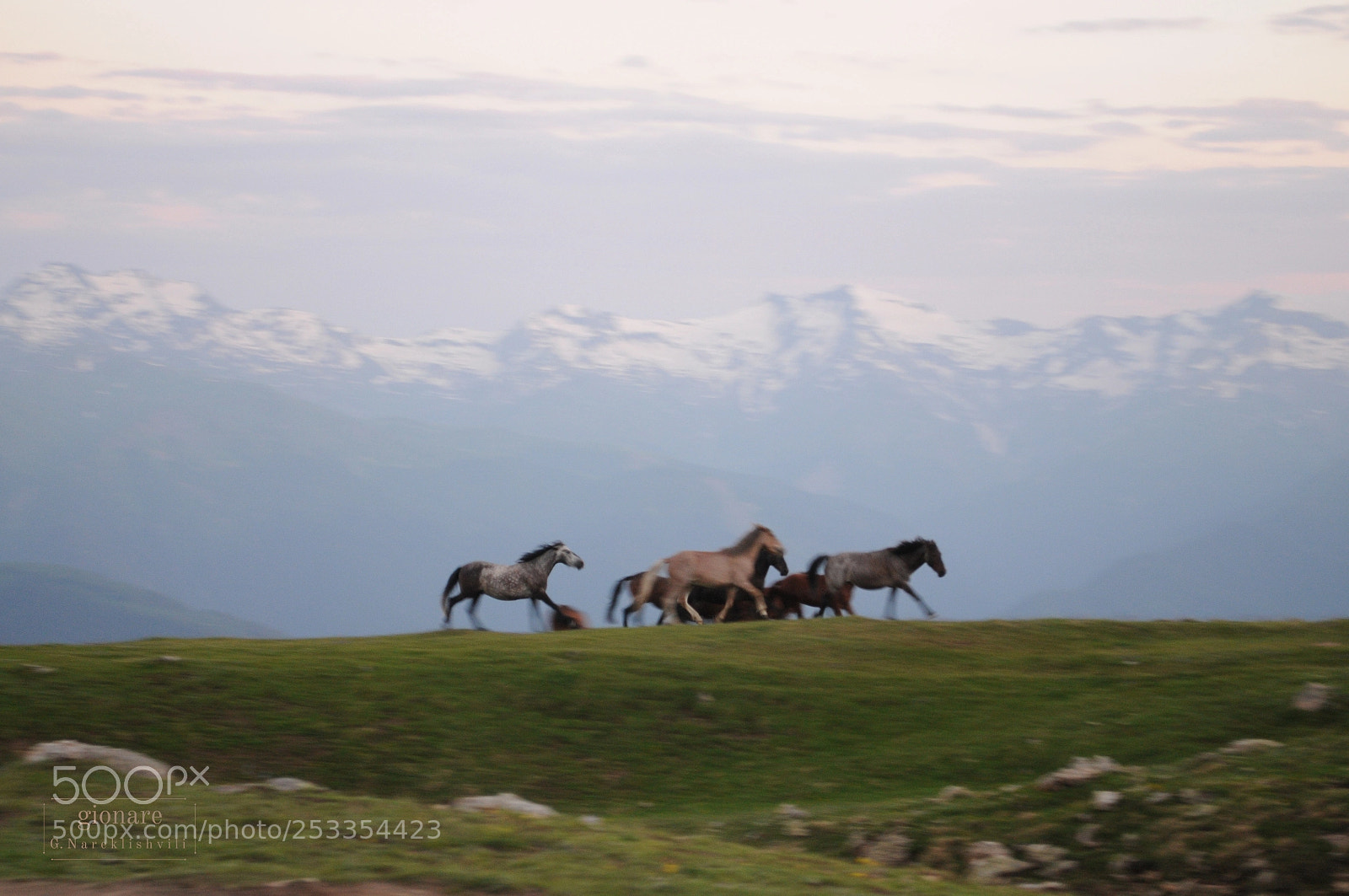 Nikon D300 sample photo. Georgia svaneti photography