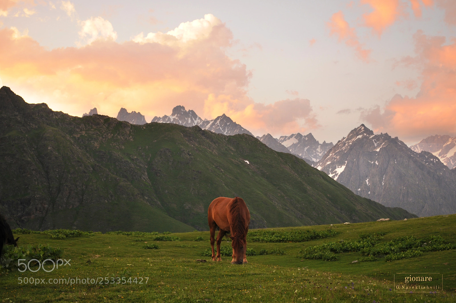 Nikon D300 sample photo. Georgia svaneti photography