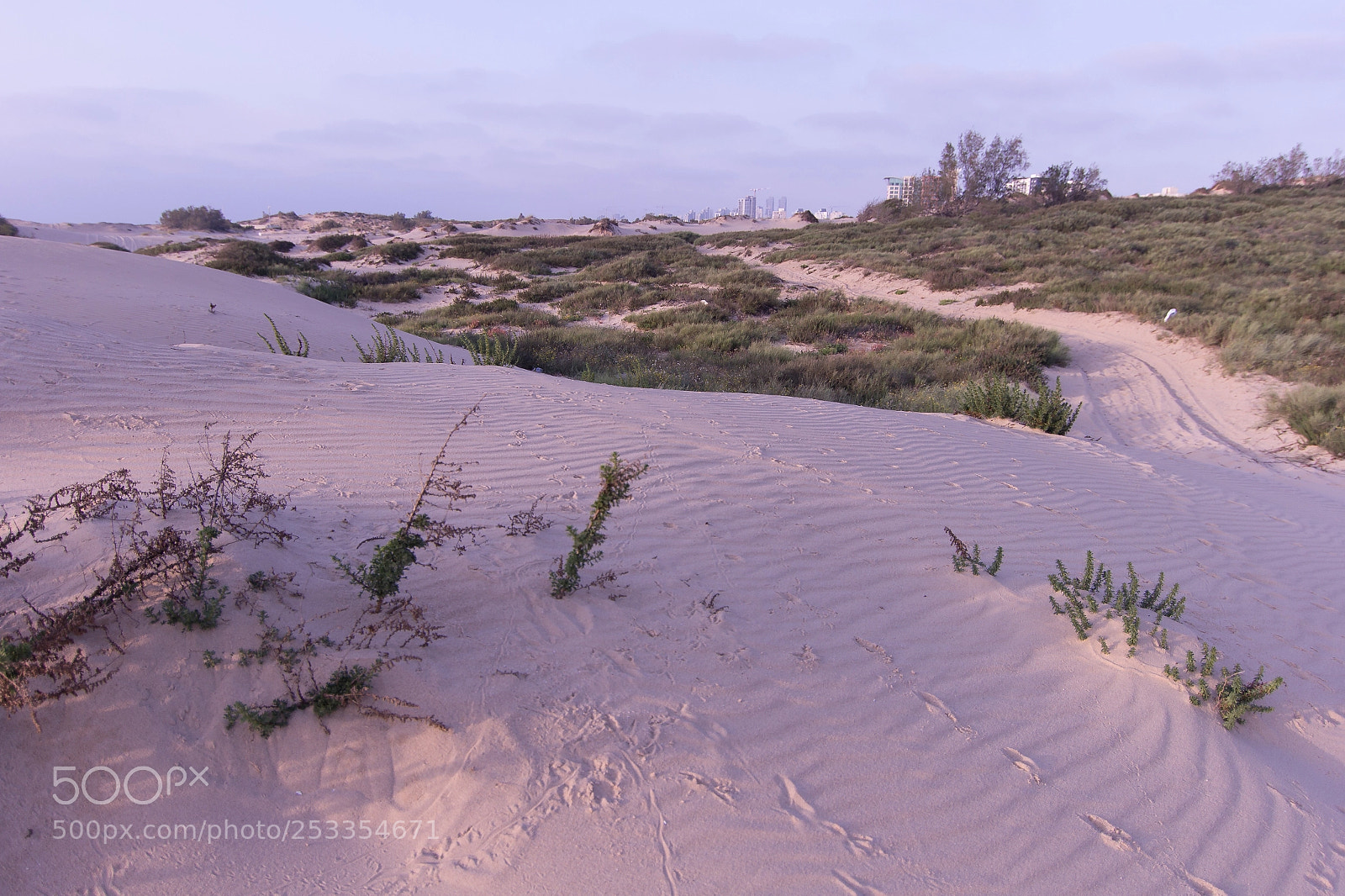 Canon EOS 60D sample photo. Dunes of ashdod photography