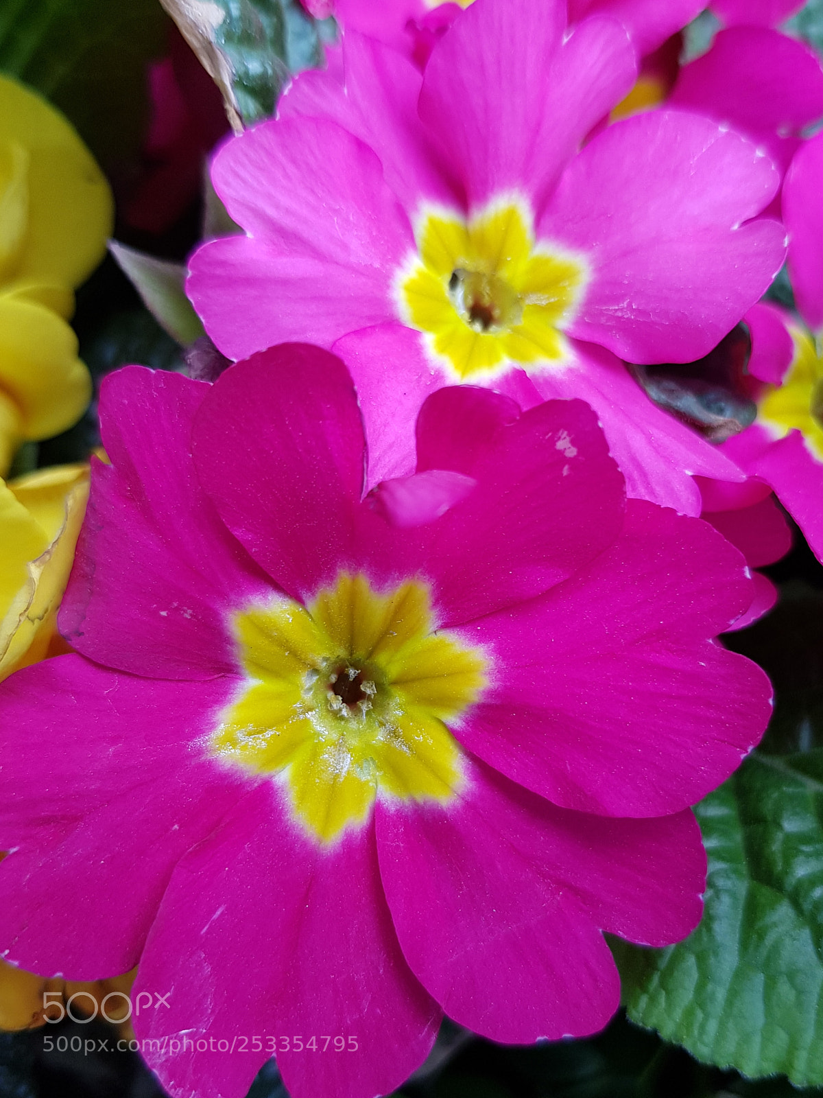 Samsung Galaxy S8+ sample photo. Untitled photography