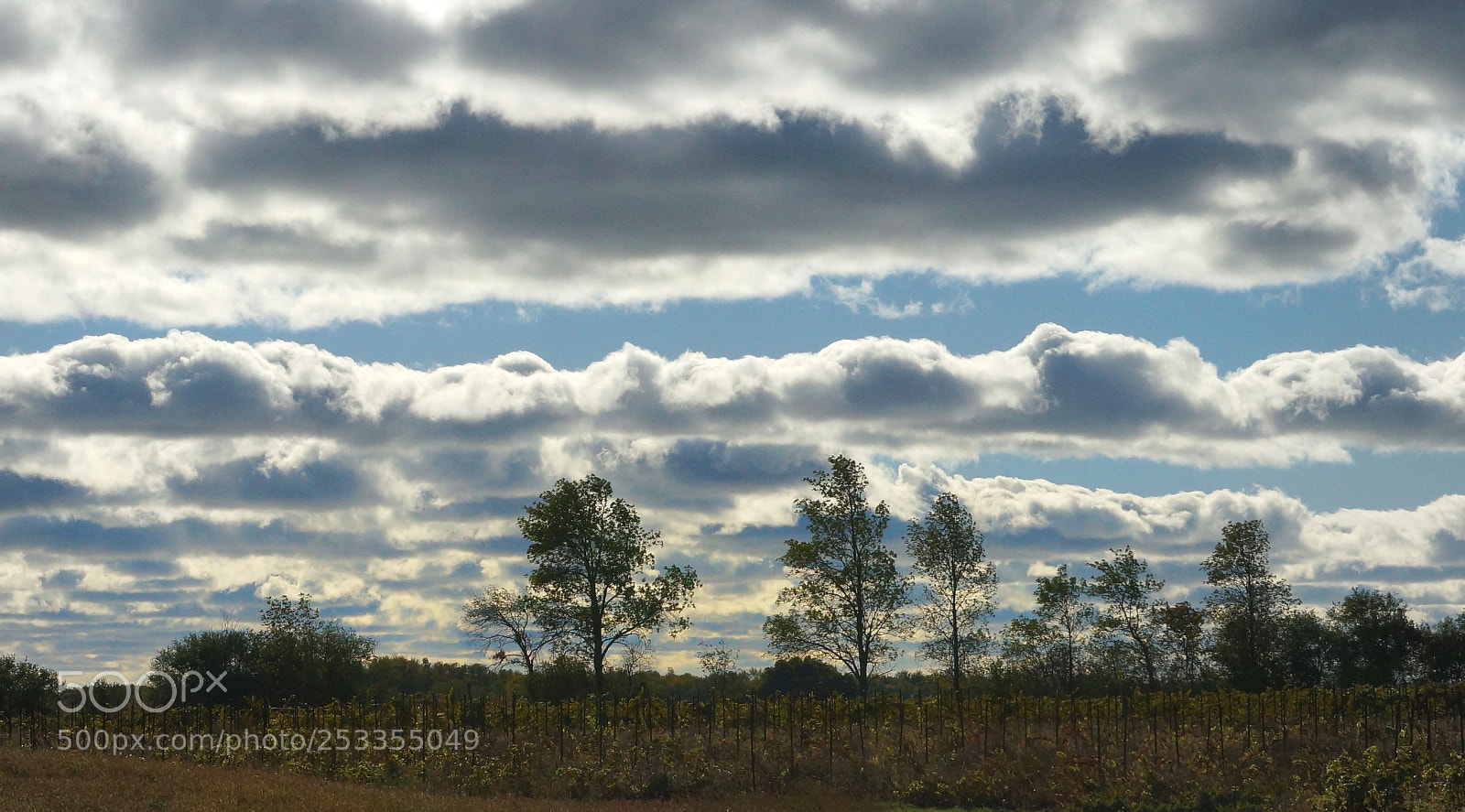 Sony Alpha NEX-6 sample photo. Three great days 1 photography