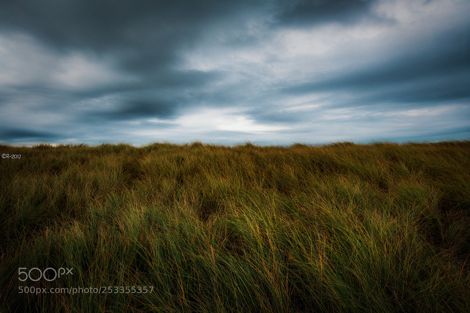Fujifilm X-Pro2 sample photo. Alone in the fields photography