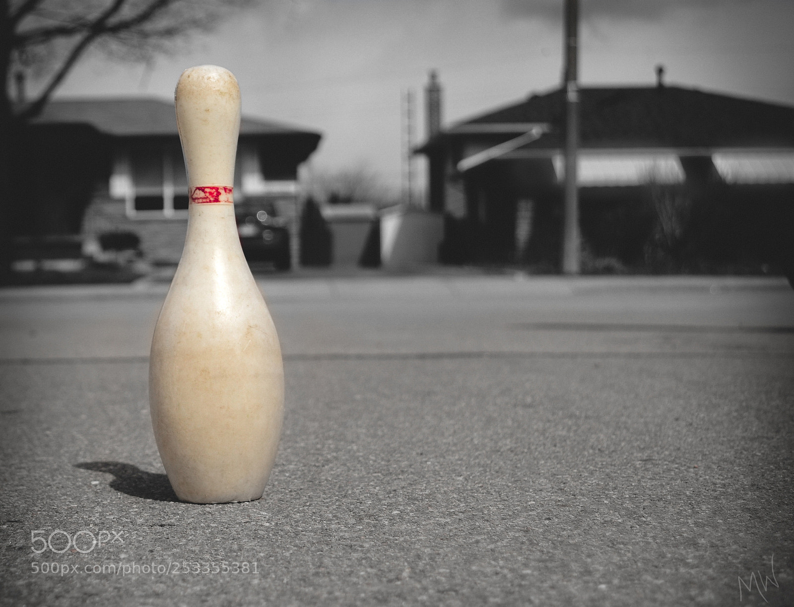 Nikon D3100 sample photo. Vantagepoint photography