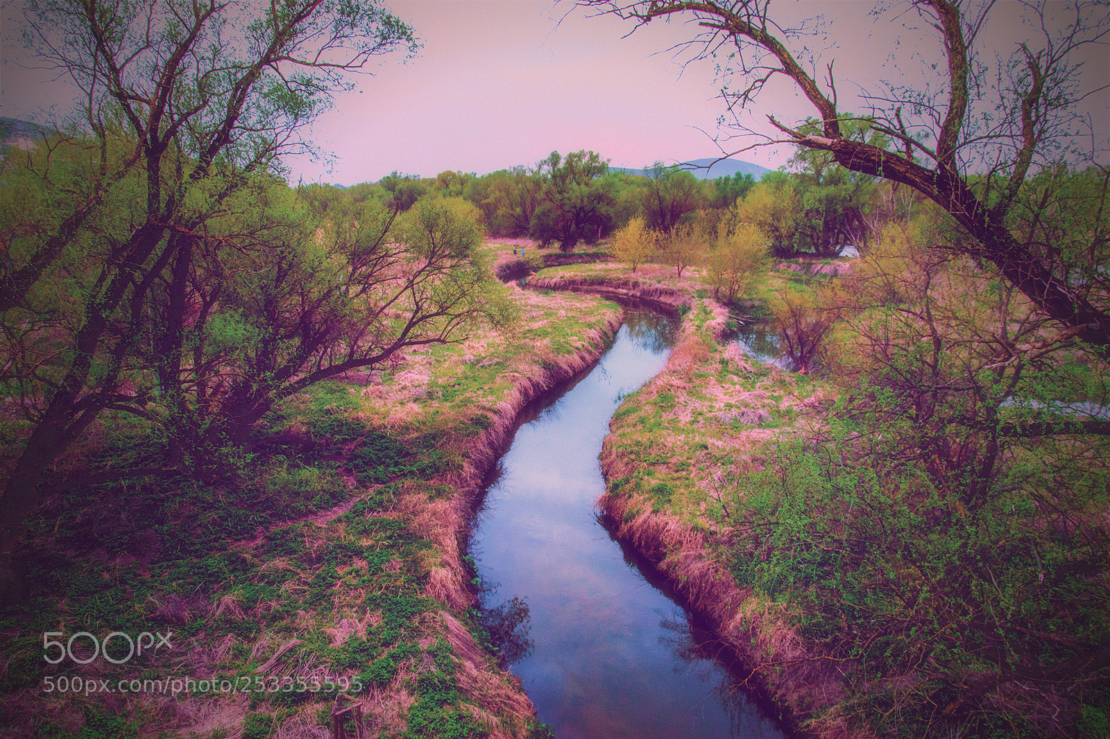 Nikon D5300 sample photo. Spring photography