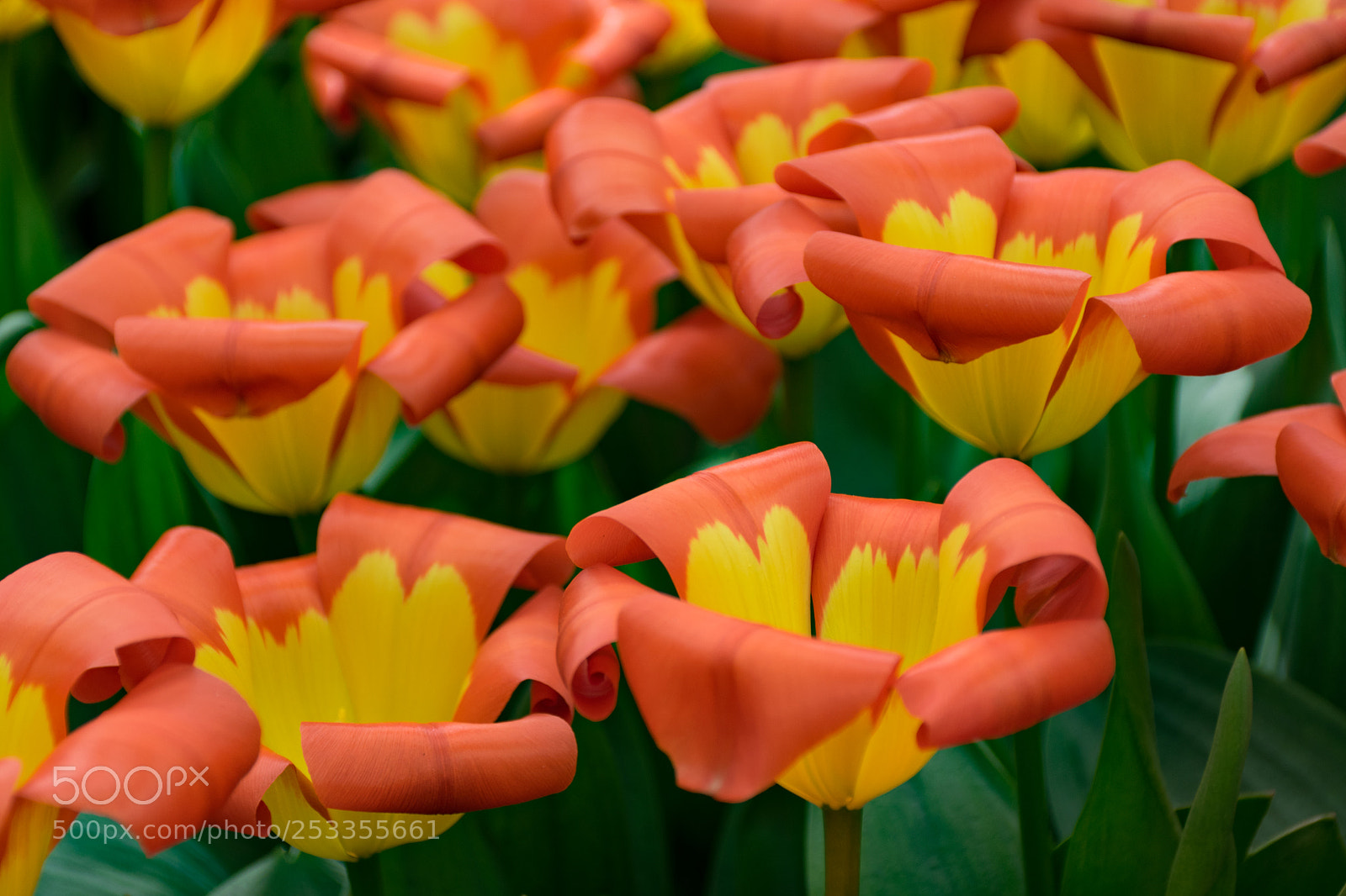 Nikon D5300 sample photo. Untitled photography