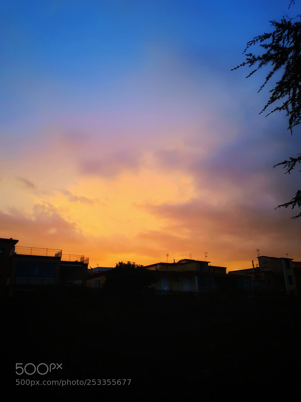 Samsung Galaxy S7 Edge sample photo. Untitled photography