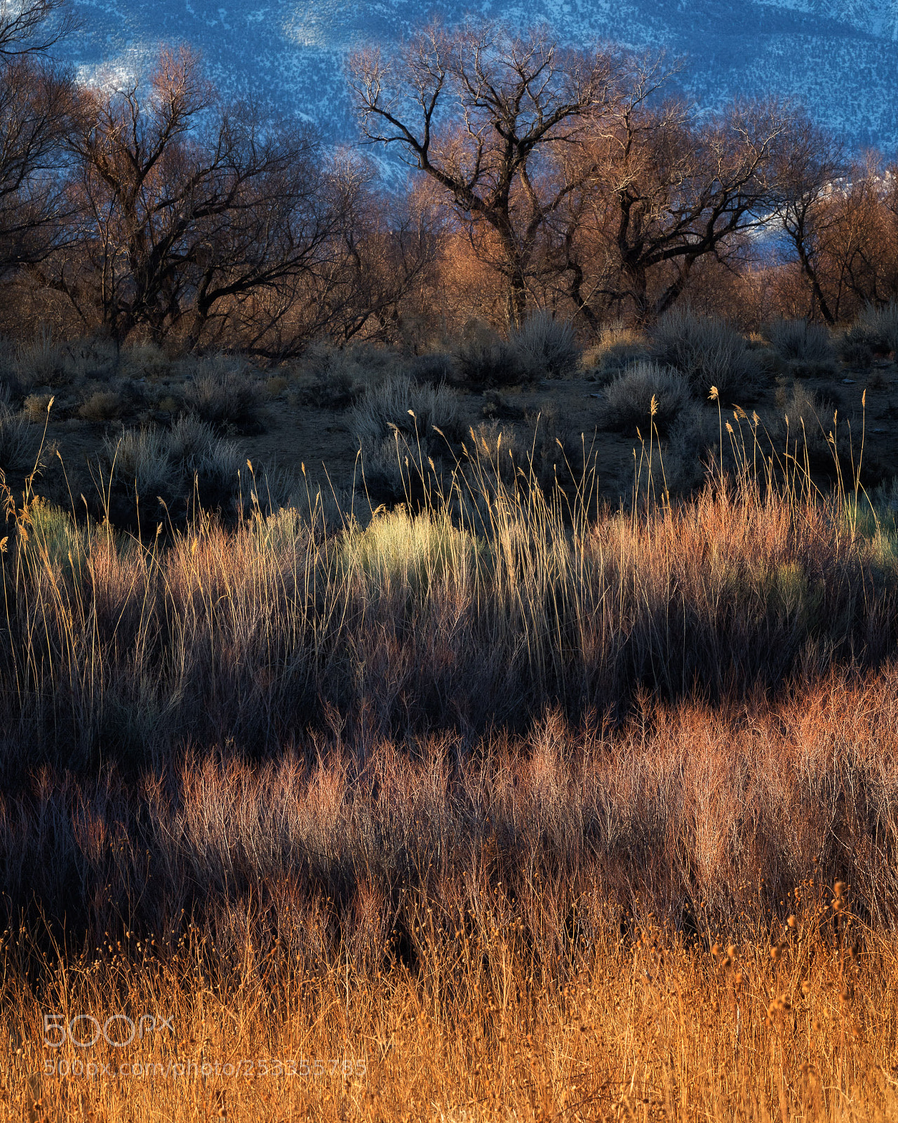 Canon EOS 5D Mark IV sample photo. Layers photography
