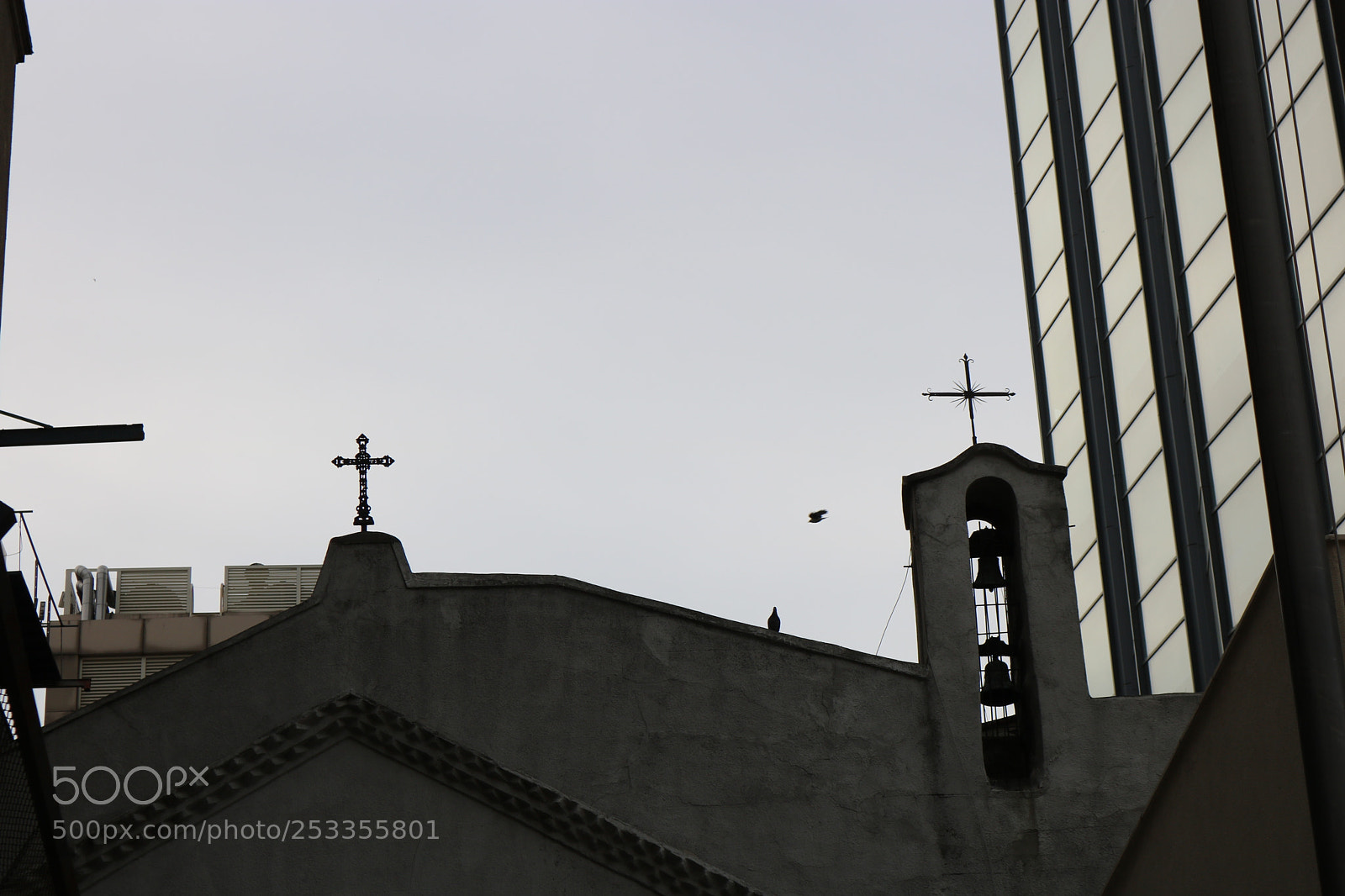 Canon EOS 750D (EOS Rebel T6i / EOS Kiss X8i) sample photo. Jesus photography