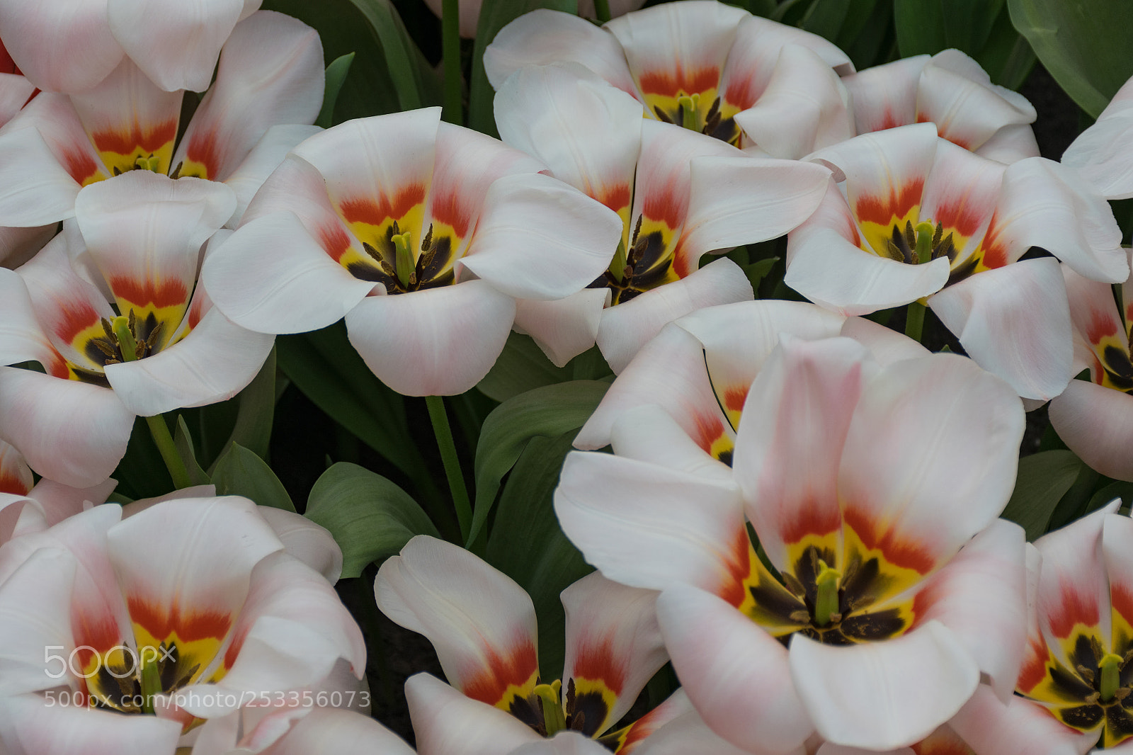 Nikon D5300 sample photo. Untitled photography