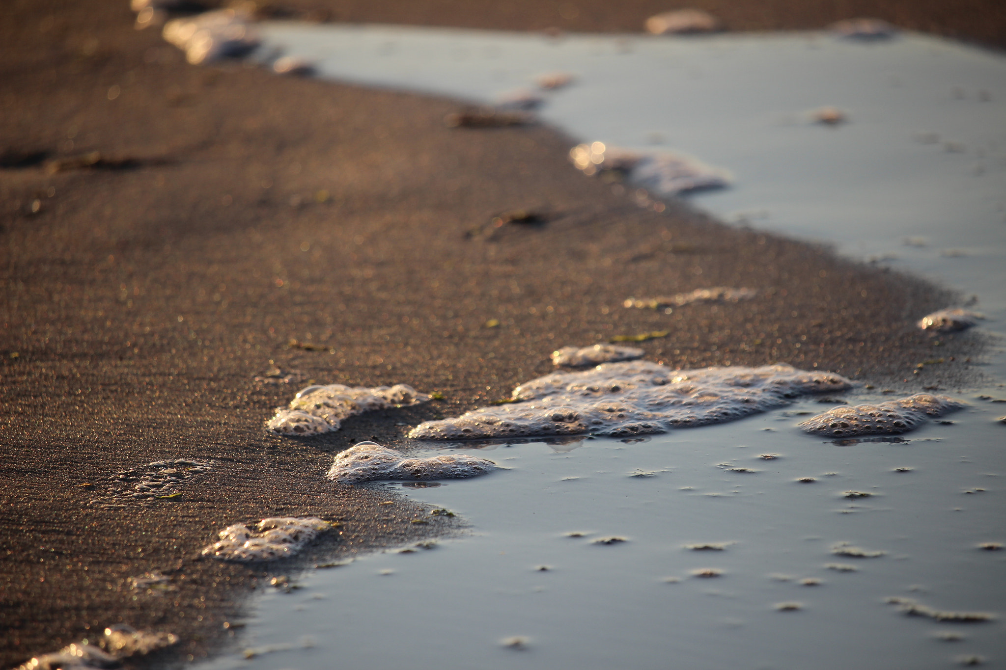 Canon EF-S 55-250mm F4-5.6 IS STM sample photo. 🏖 photography