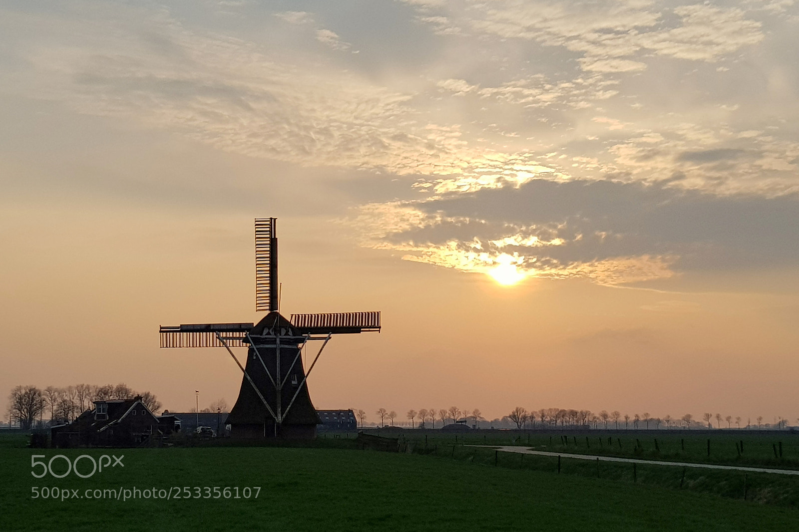 Samsung Galaxy S8+ sample photo. Koningslaagte photography