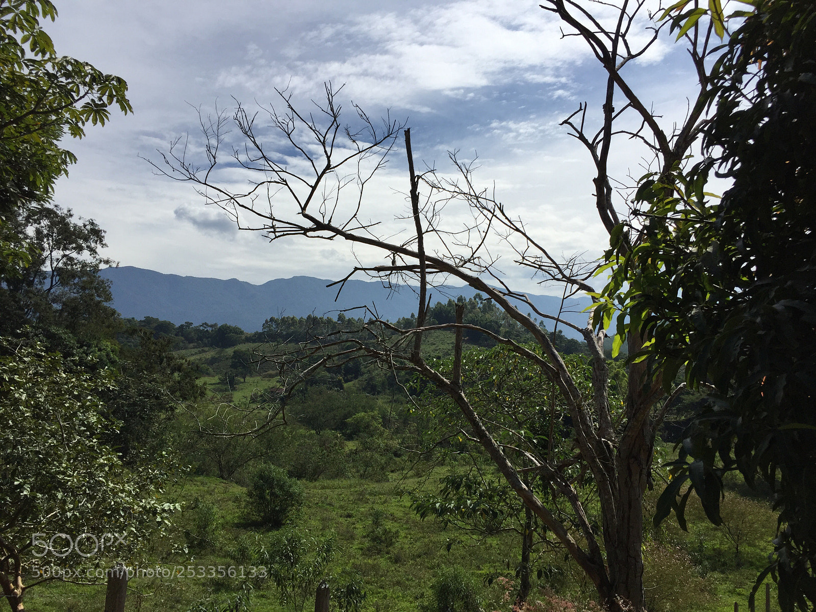 Apple iPhone 6 sample photo. Untitled photography