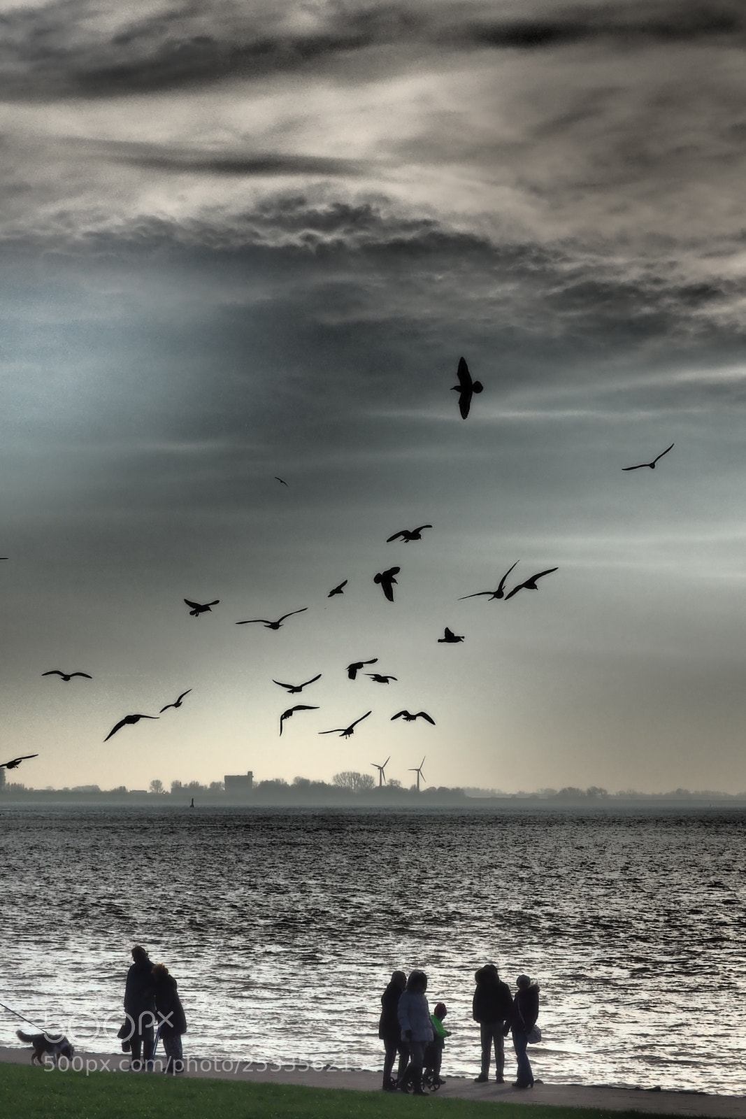 Olympus OM-D E-M5 II sample photo. Bayside photography