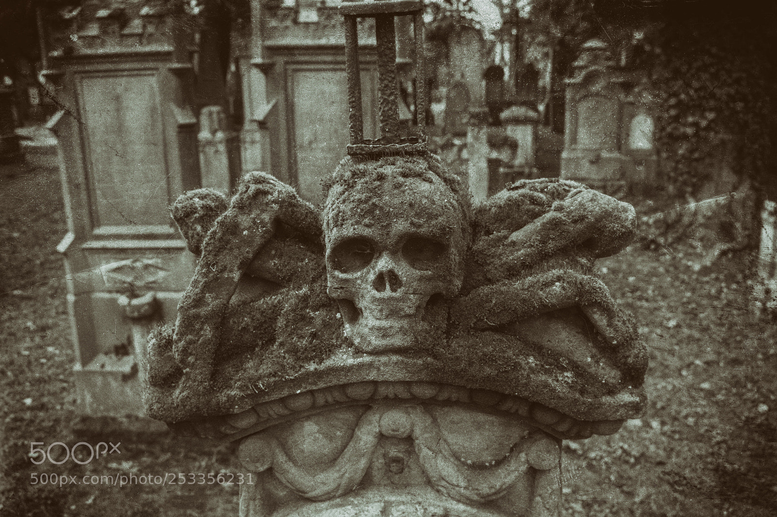 Nikon D5500 sample photo. Old stone skills photography
