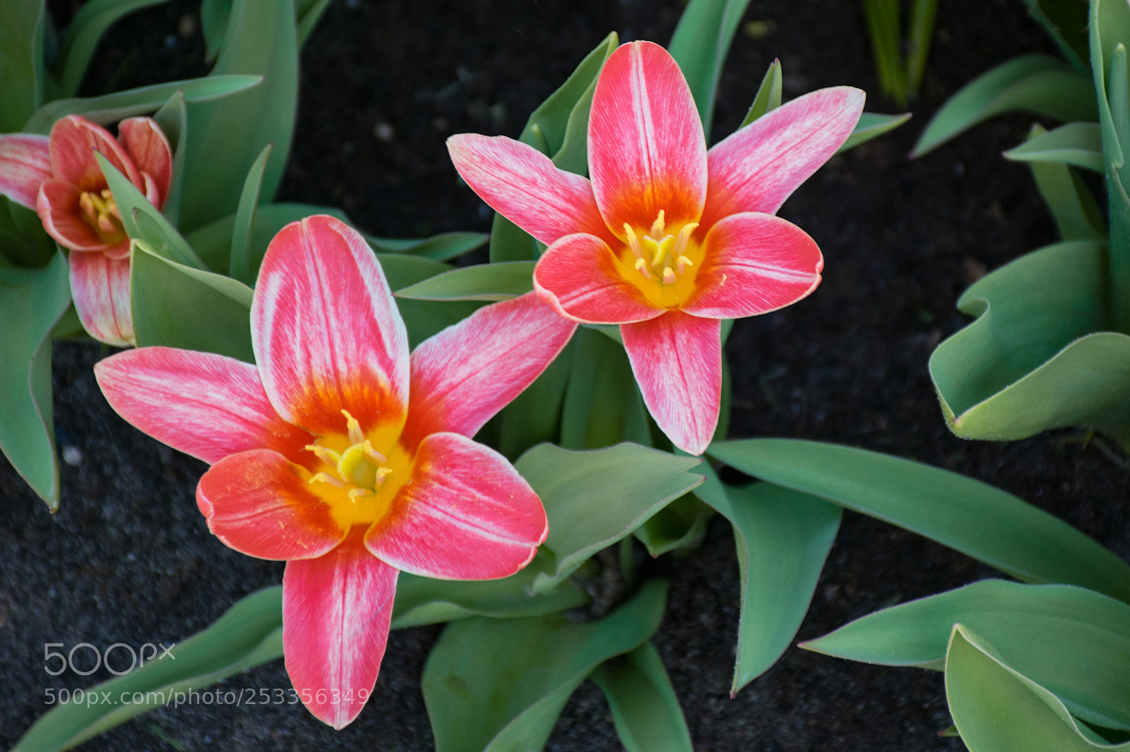 Nikon D5300 sample photo. Untitled photography