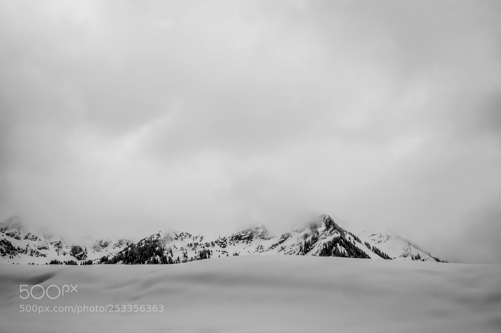Fujifilm X-T2 sample photo. Les mosses photography