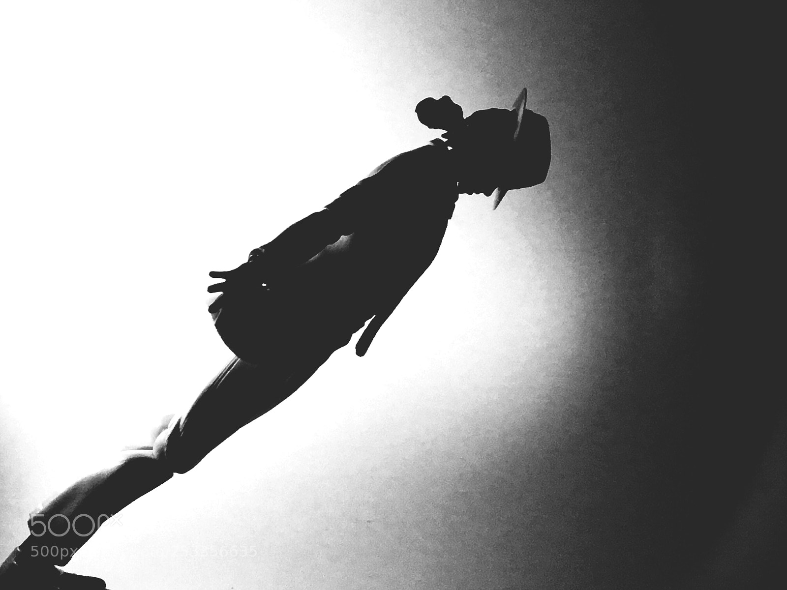 Apple iPhone 6s sample photo. The king of pop photography
