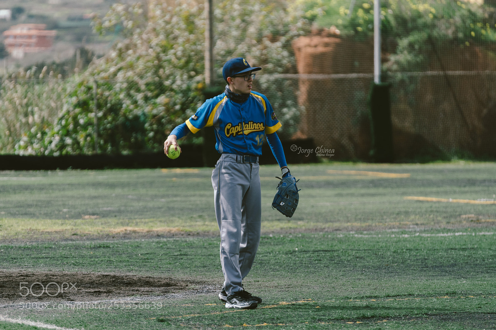 Sony a7 II sample photo. Softball photography