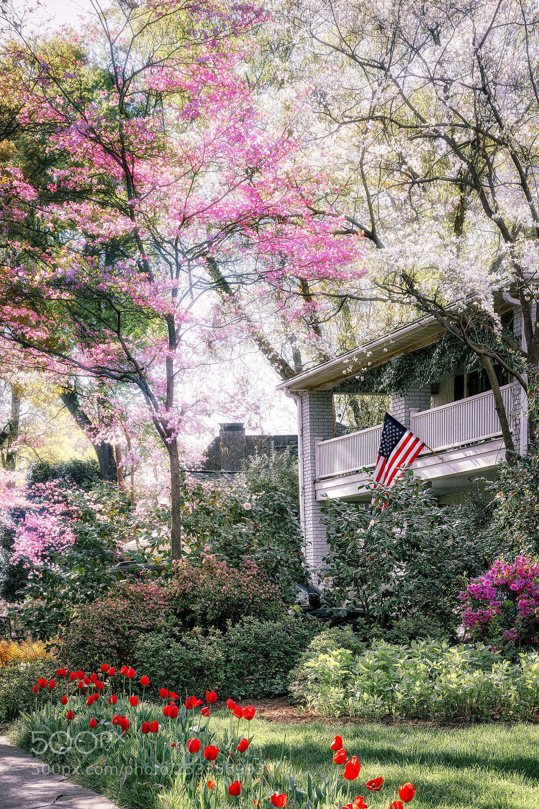 Sony a7R II sample photo. Carolina spring photography