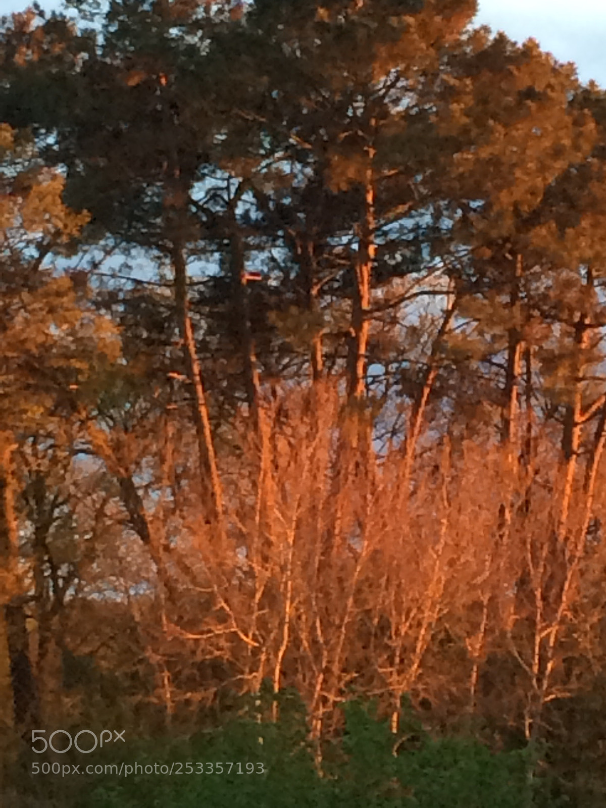 Apple iPhone 5s sample photo. Untitled photography