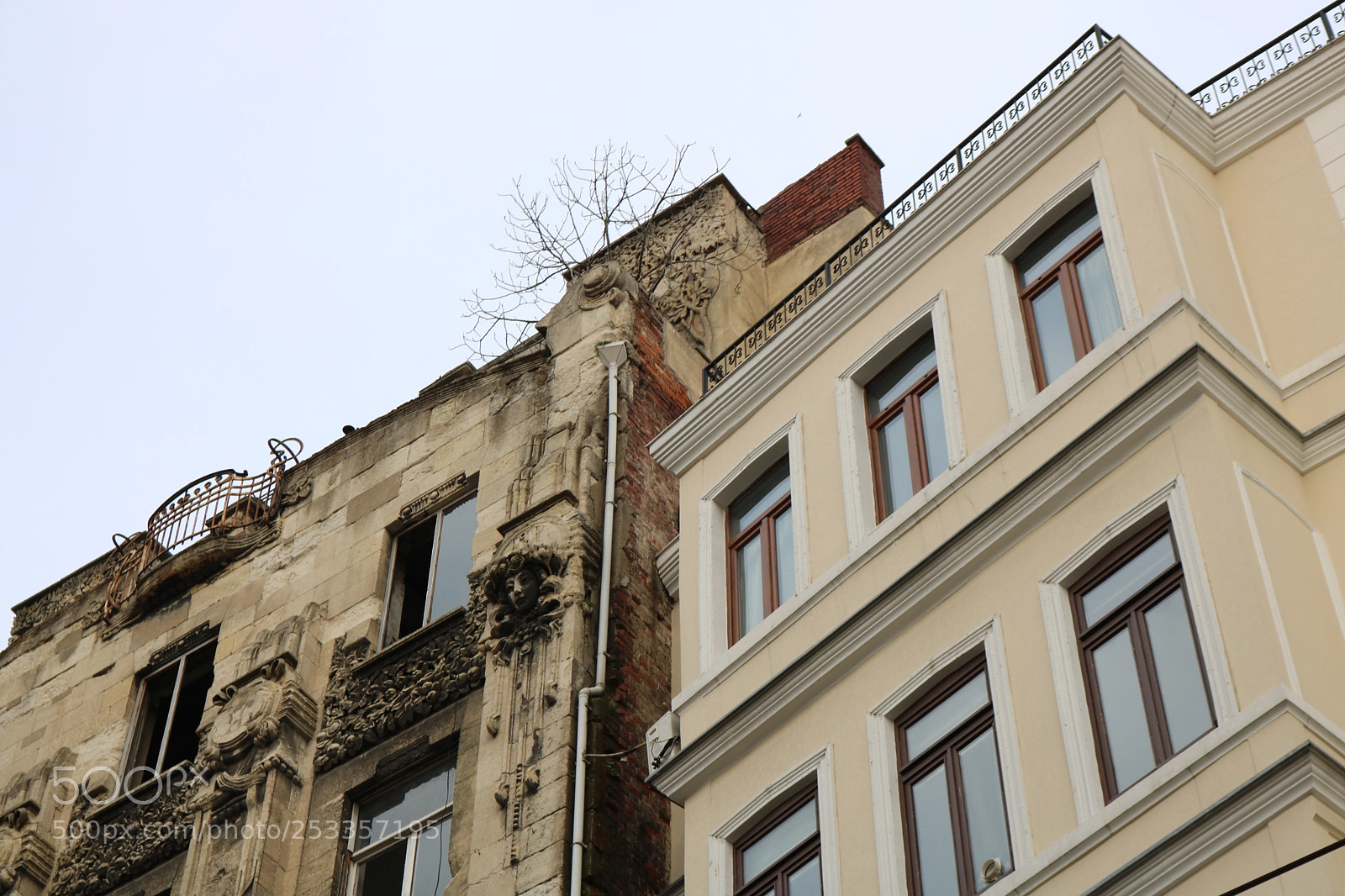 Canon EOS 750D (EOS Rebel T6i / EOS Kiss X8i) sample photo. Botter apt photography