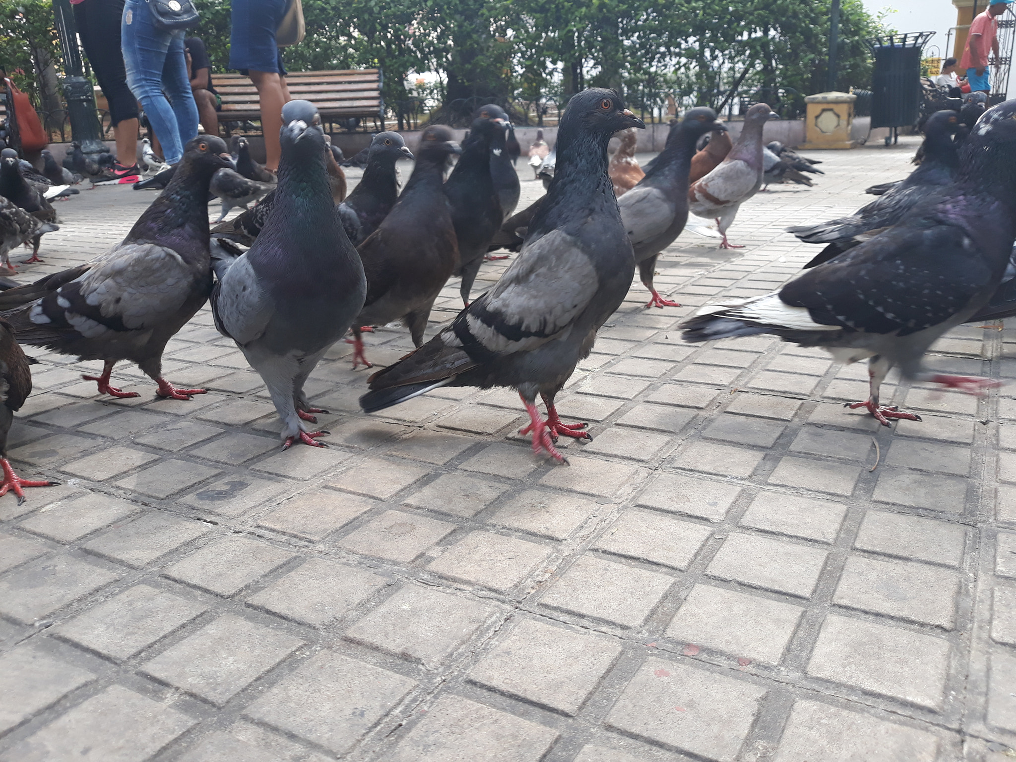 Samsung Galaxy J5 Pro sample photo