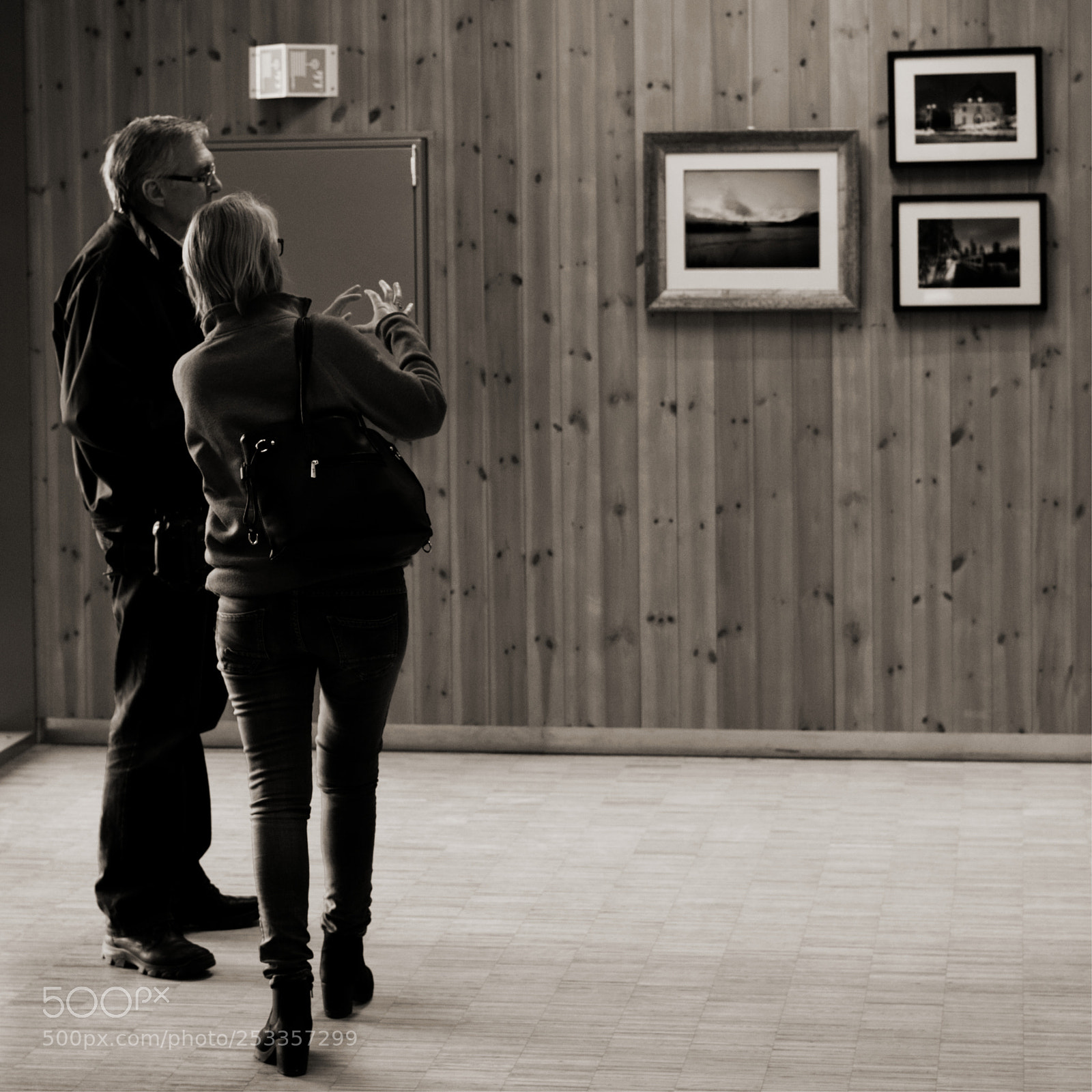 Sony a7 II sample photo. Exhibition photography