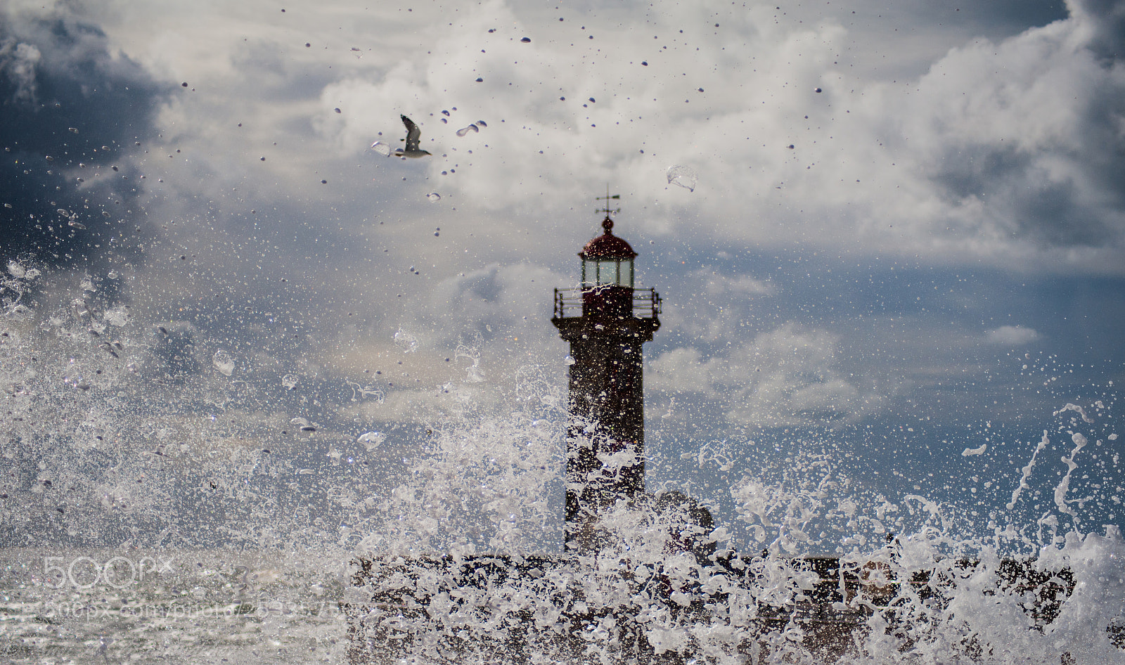 Nikon D700 sample photo. Porto, leuchtturm molhe do photography