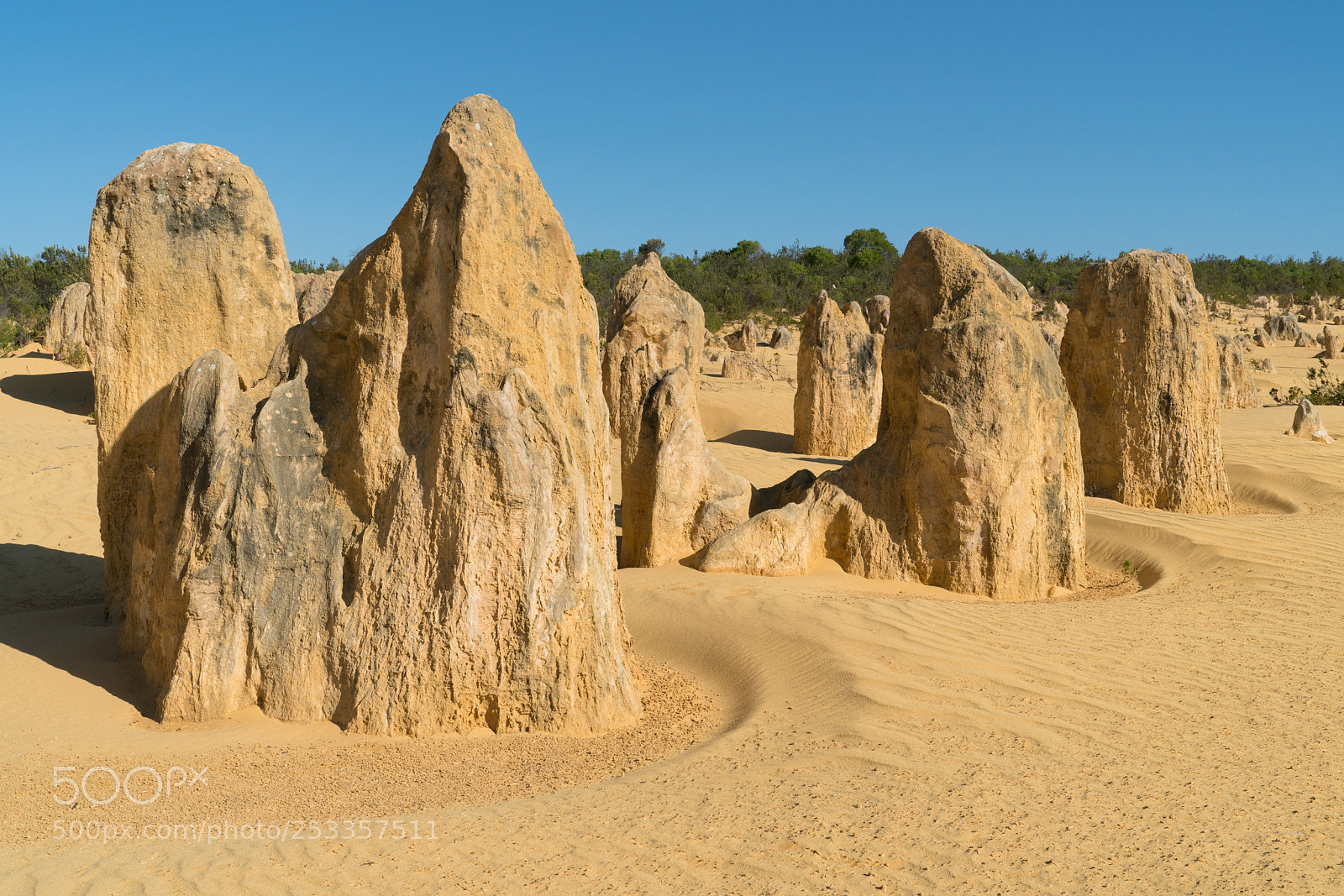 Sony a7R II sample photo. Nambung national park, western photography