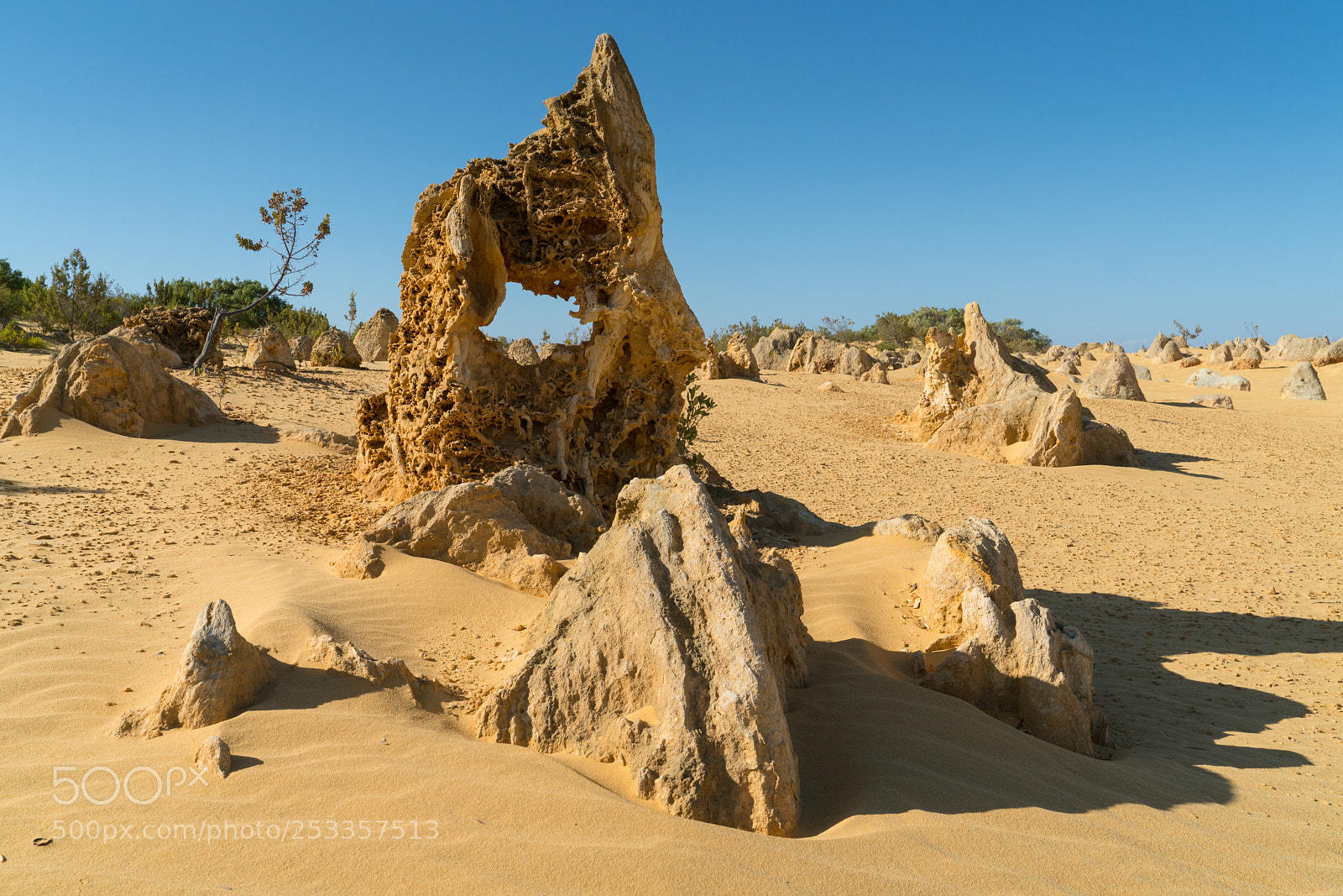 Sony a7R II sample photo. Nambung national park, western photography