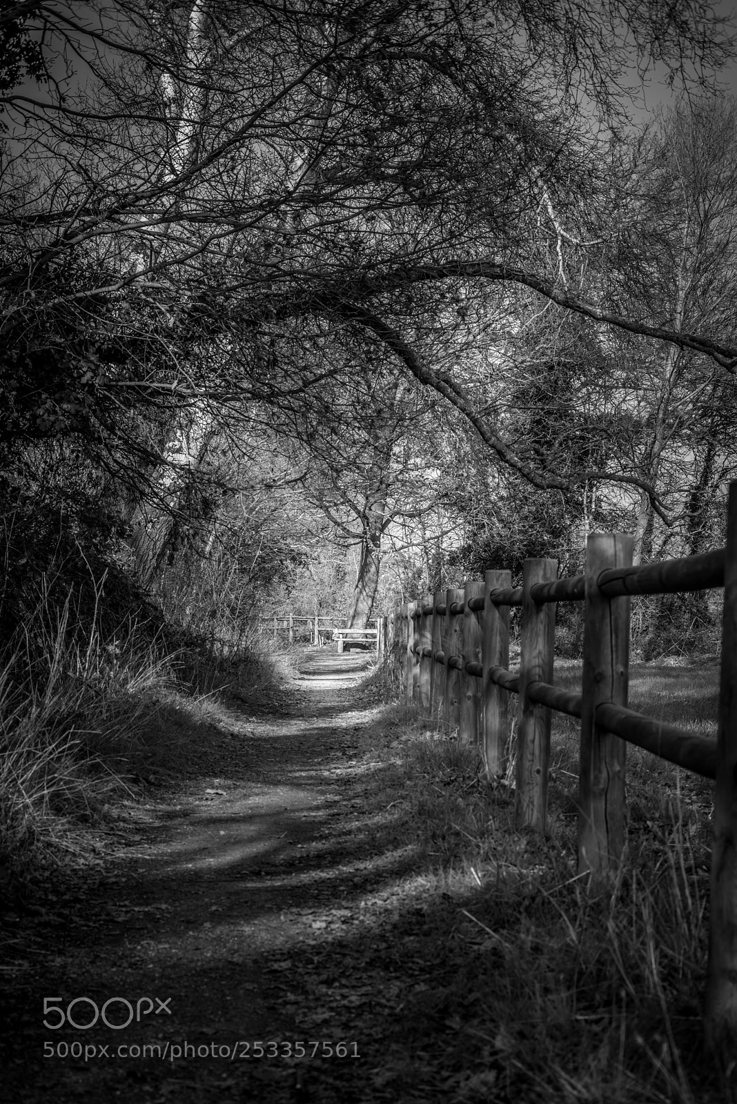 Pentax K-1 sample photo. Dark tunnel photography