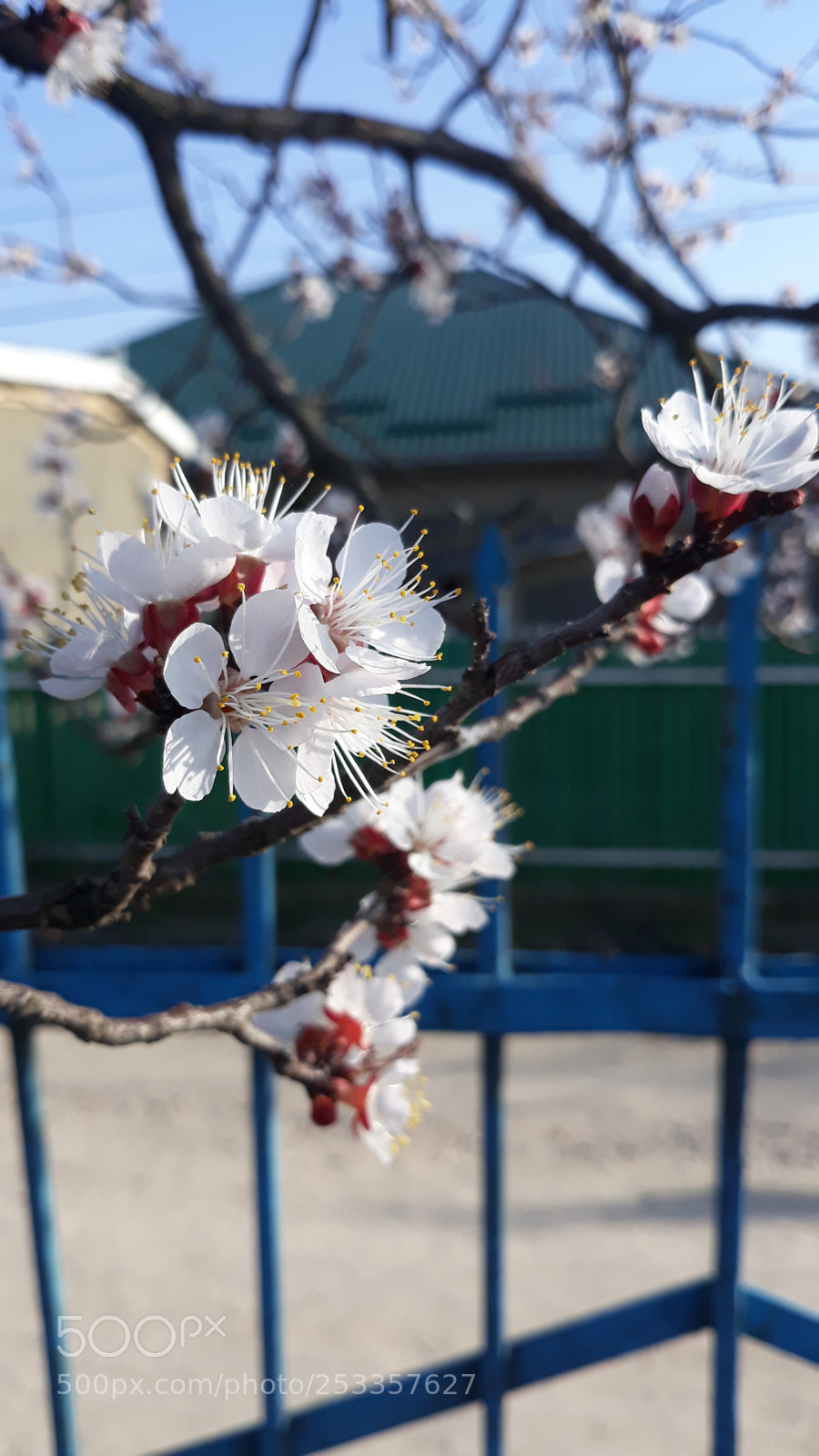 Samsung Galaxy J7 sample photo. Untitled photography