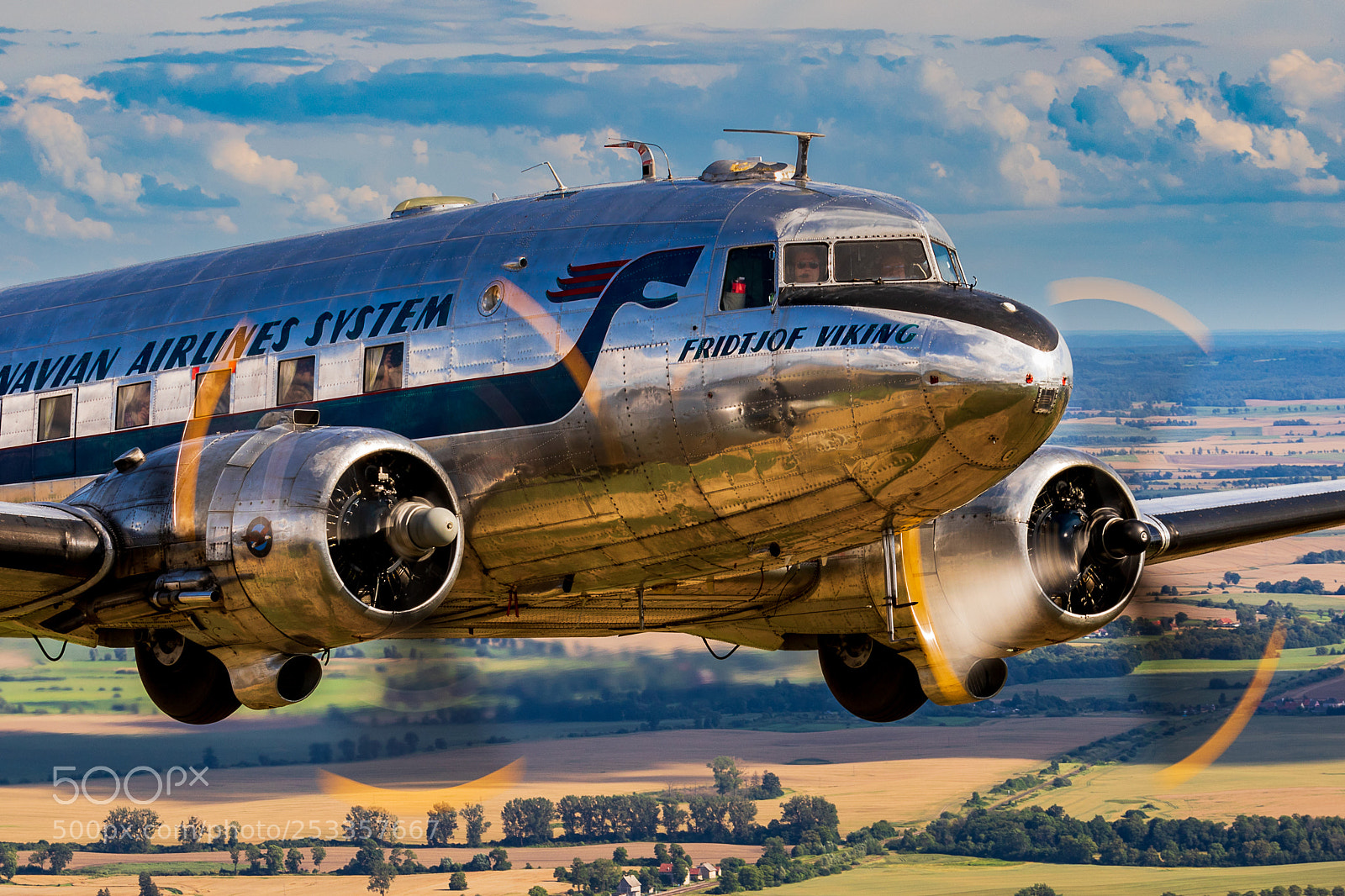 Canon EOS 7D Mark II sample photo. Dc-3 "daisy" photography