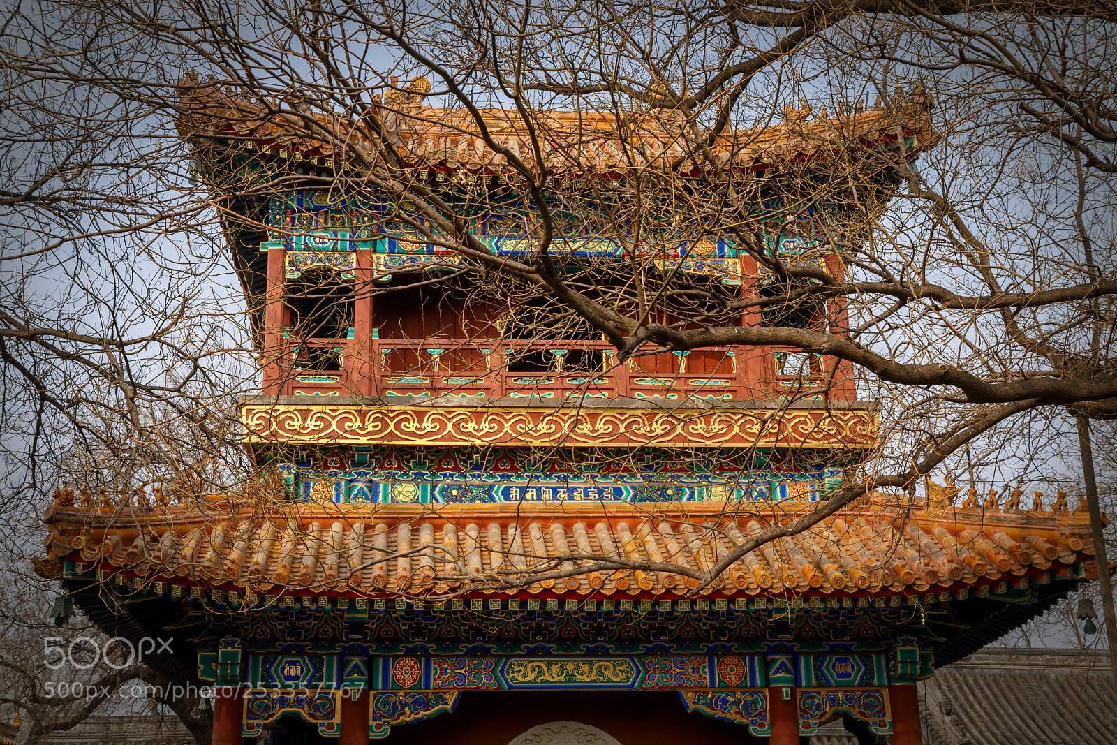 Canon EOS 7D Mark II sample photo. Lama temple photography