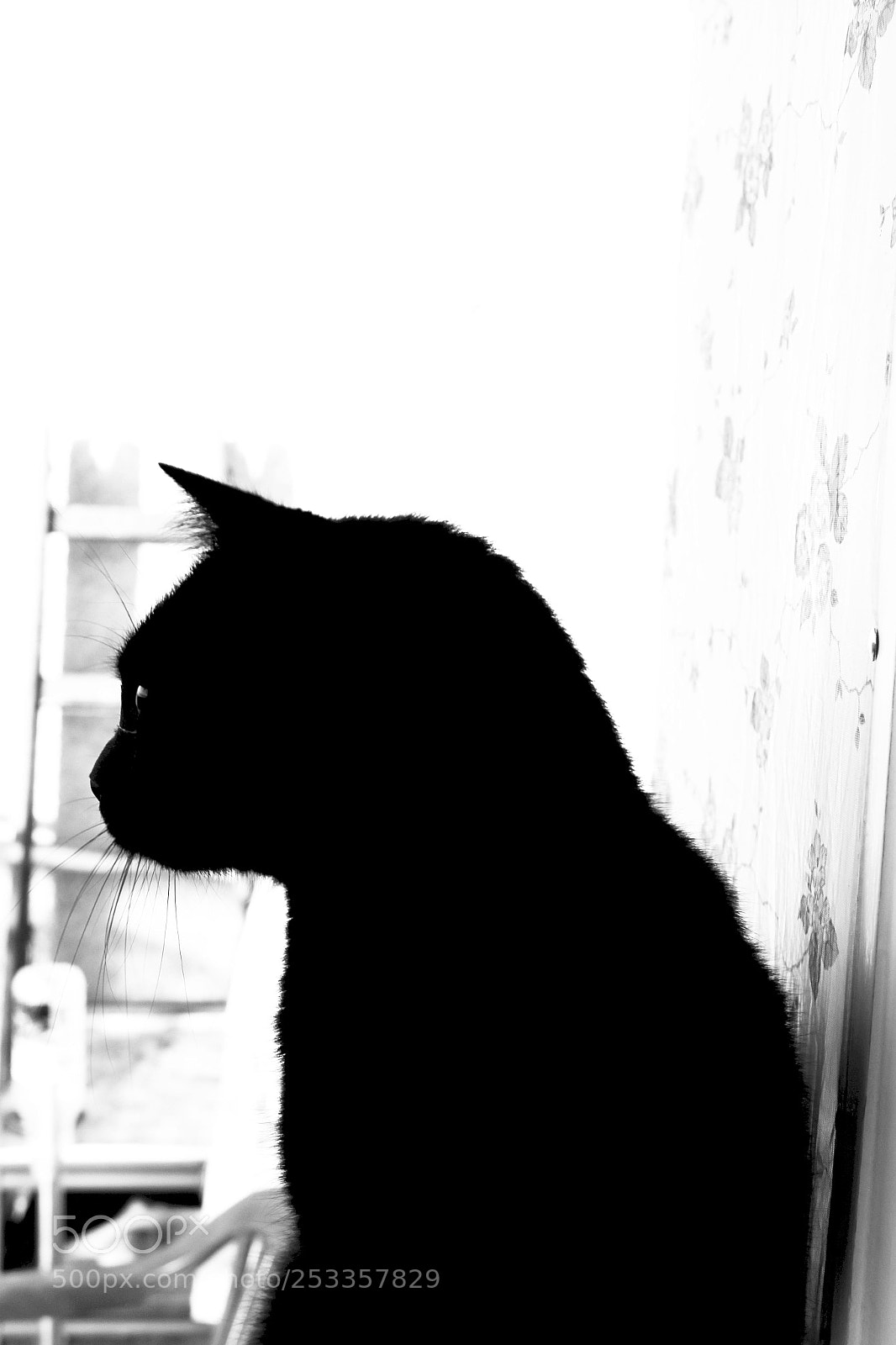 Canon EOS 1300D (EOS Rebel T6 / EOS Kiss X80) sample photo. Untitled photography