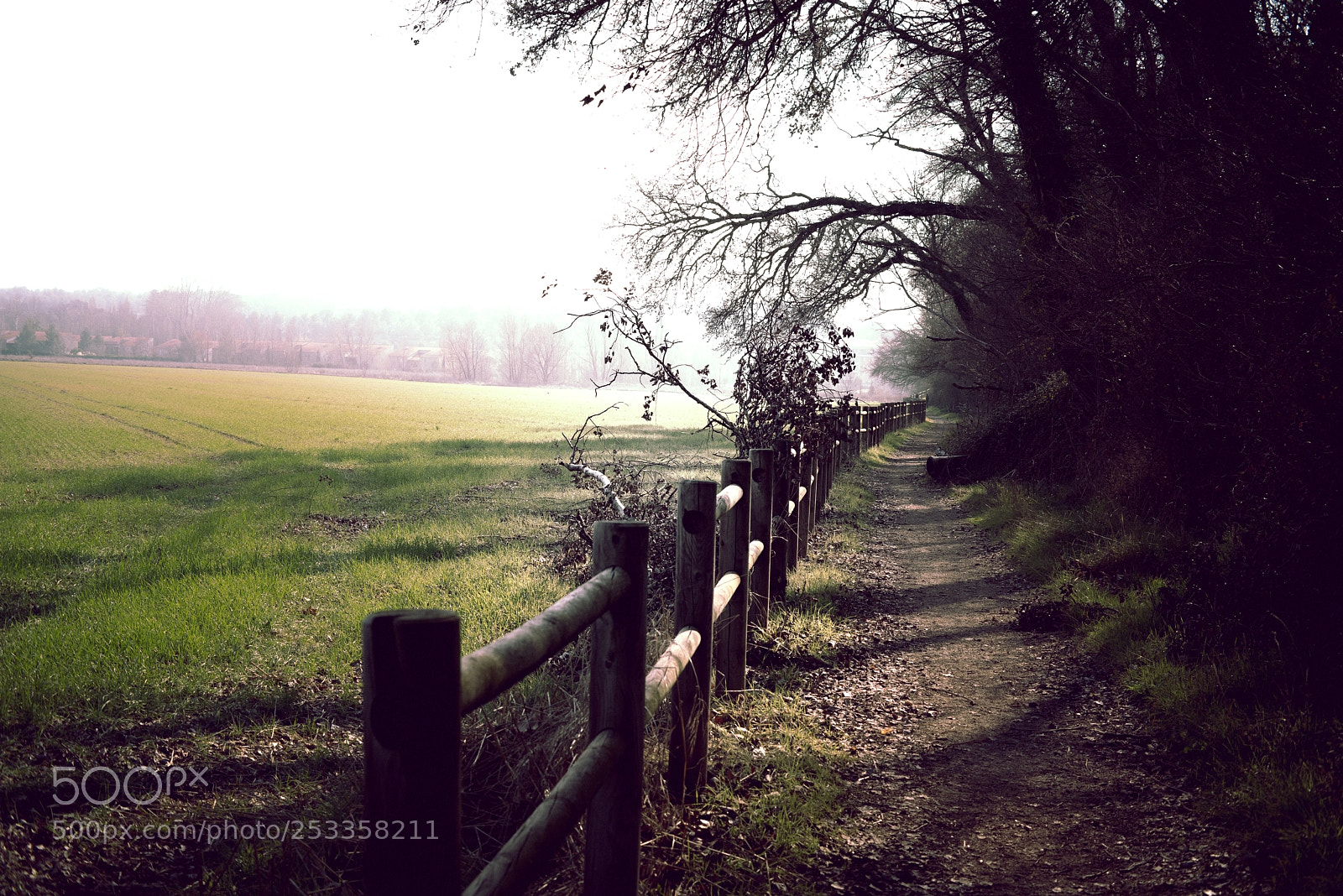 Pentax K-1 sample photo. Foggy path photography