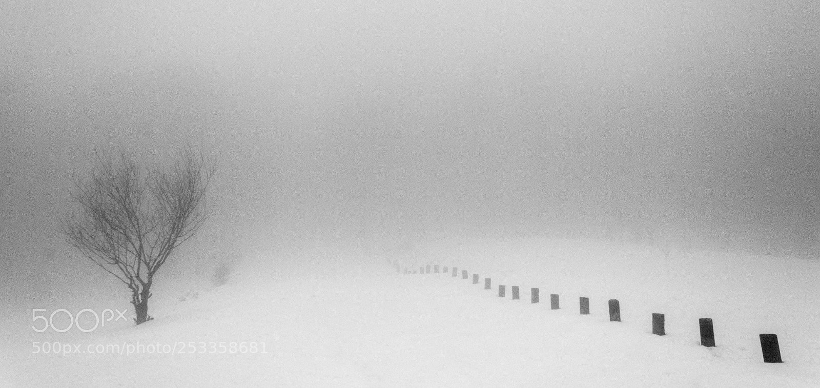Canon EOS 60D sample photo. Black & white landscape photography