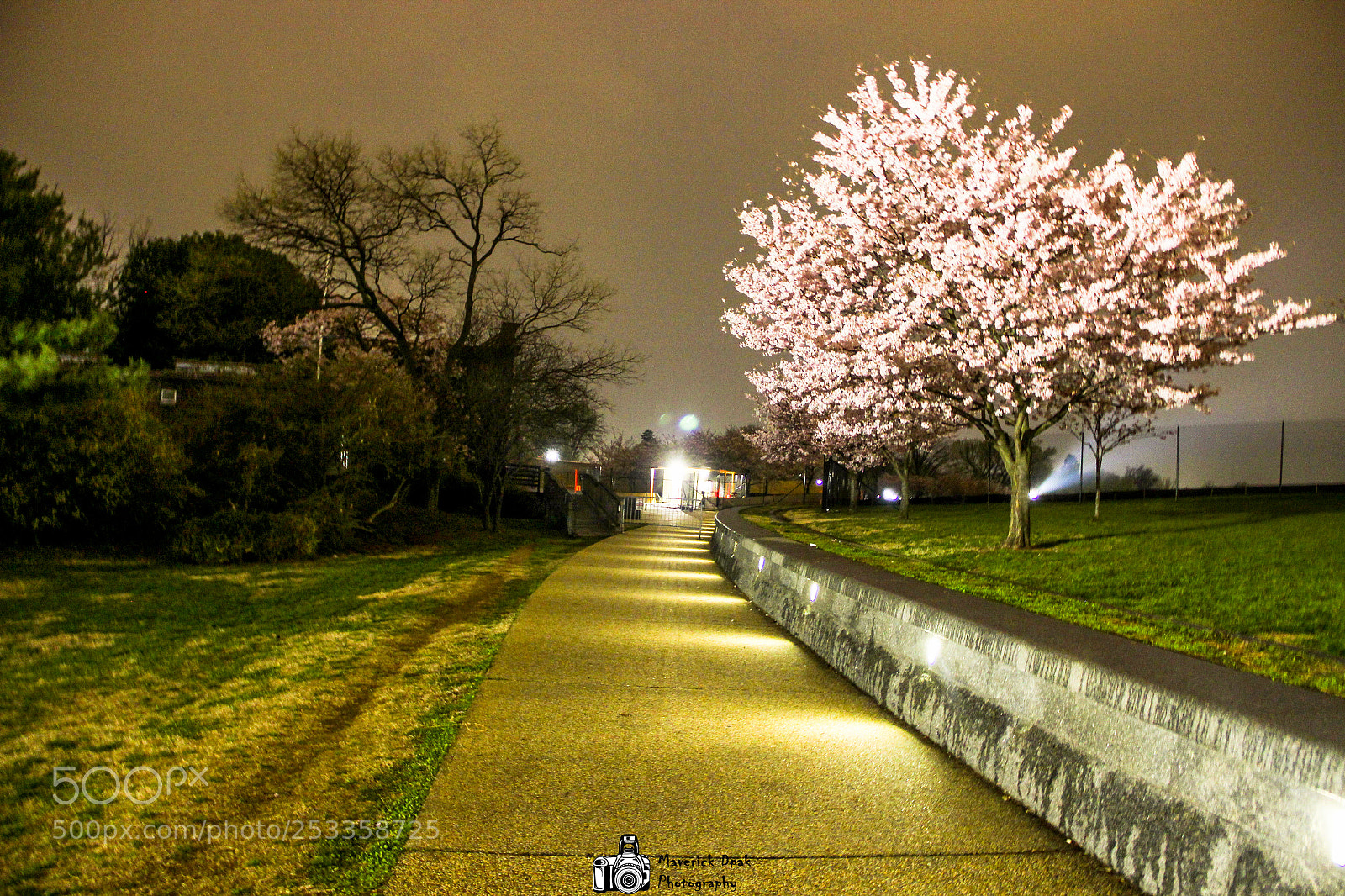 Canon EOS 600D (Rebel EOS T3i / EOS Kiss X5) sample photo. Night walk photography