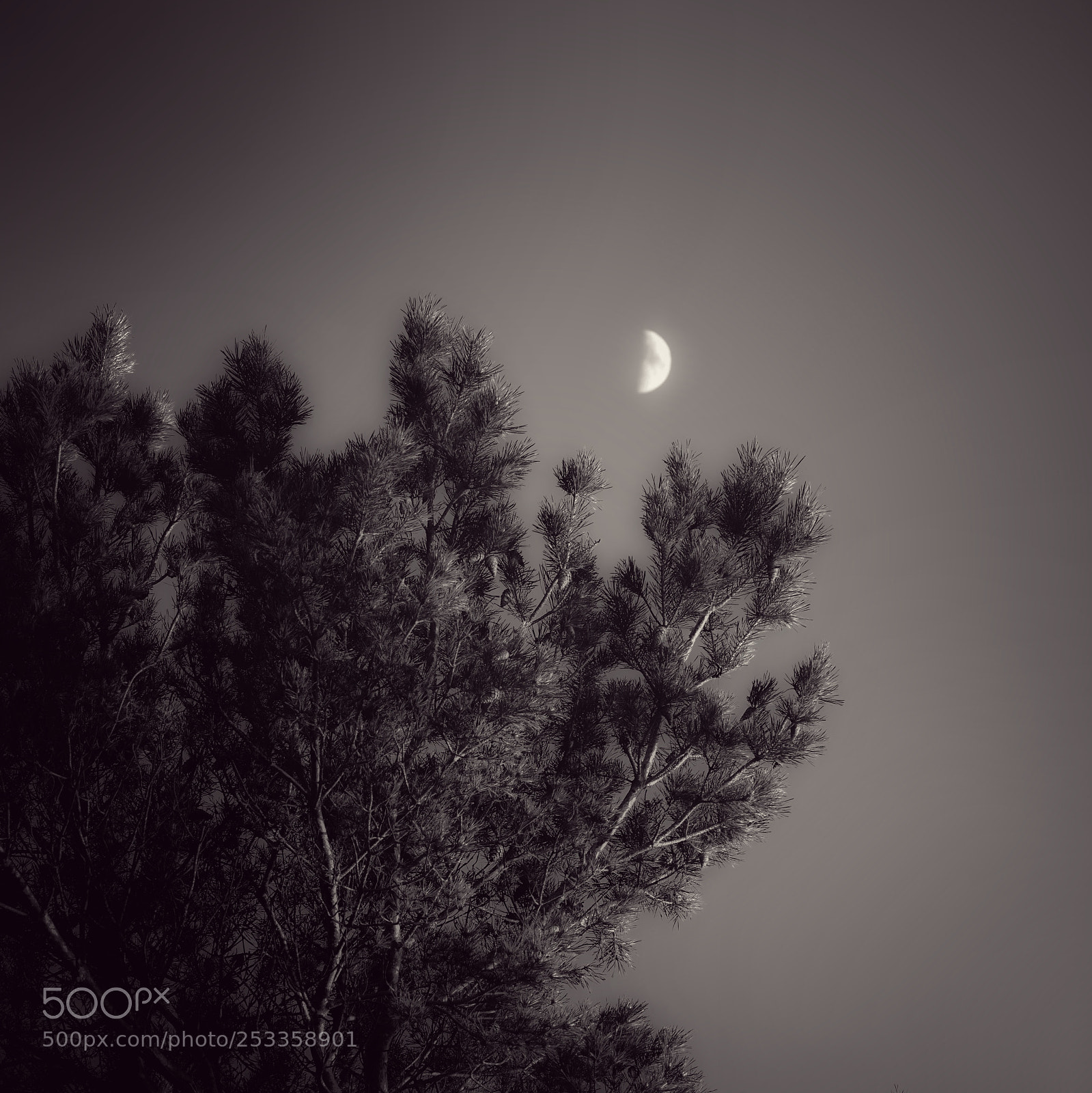Sony a7 II sample photo. Night photography