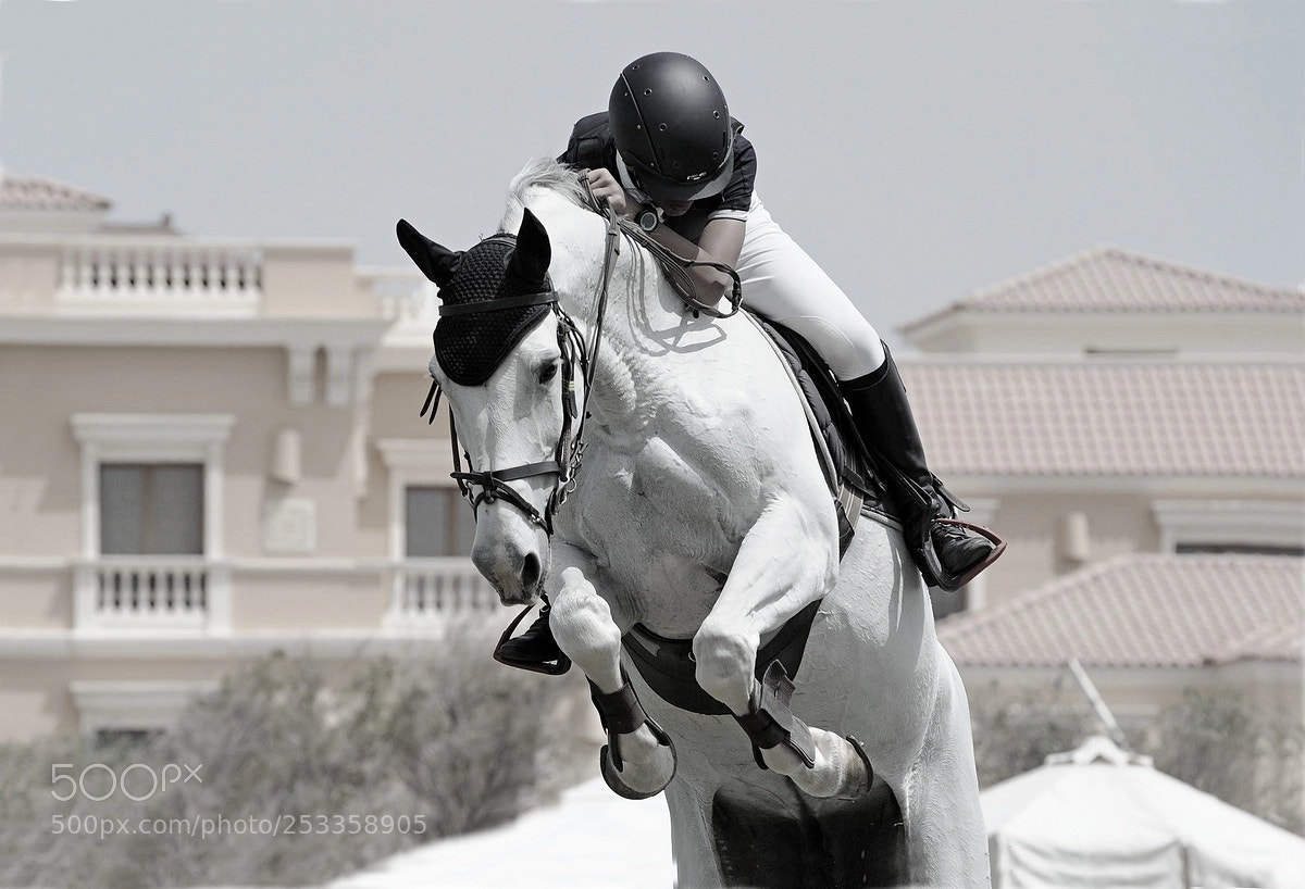 Nikon D700 sample photo. Ride 2 photography