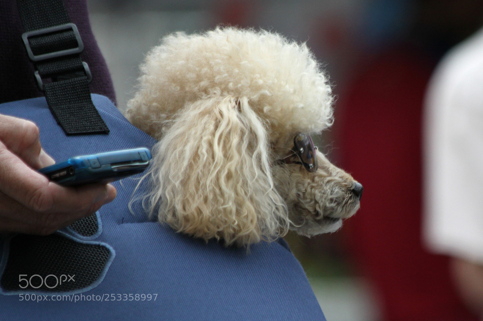 Canon EOS 50D sample photo. It's for you photography