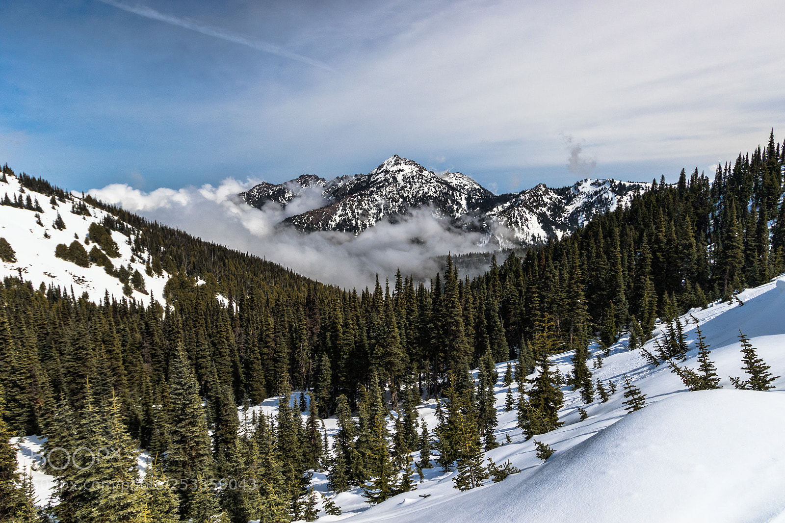 Canon EOS 7D Mark II sample photo. Hurricane ridge photography