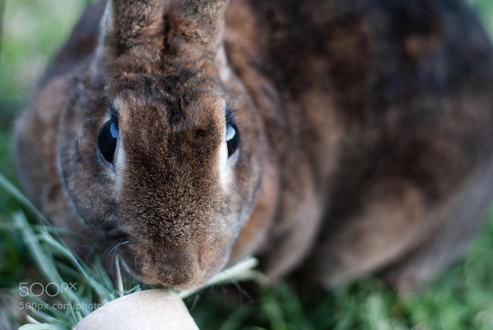 Nikon D3000 sample photo. Hazel bunz photography