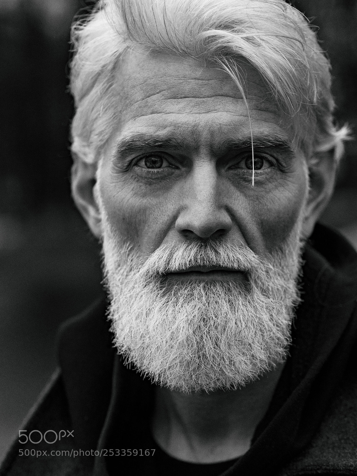 Olympus PEN-F sample photo. Sergey photography