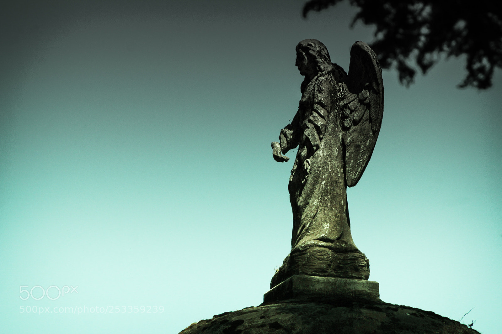 Canon EOS 1200D (EOS Rebel T5 / EOS Kiss X70 / EOS Hi) sample photo. Angel olvidado photography