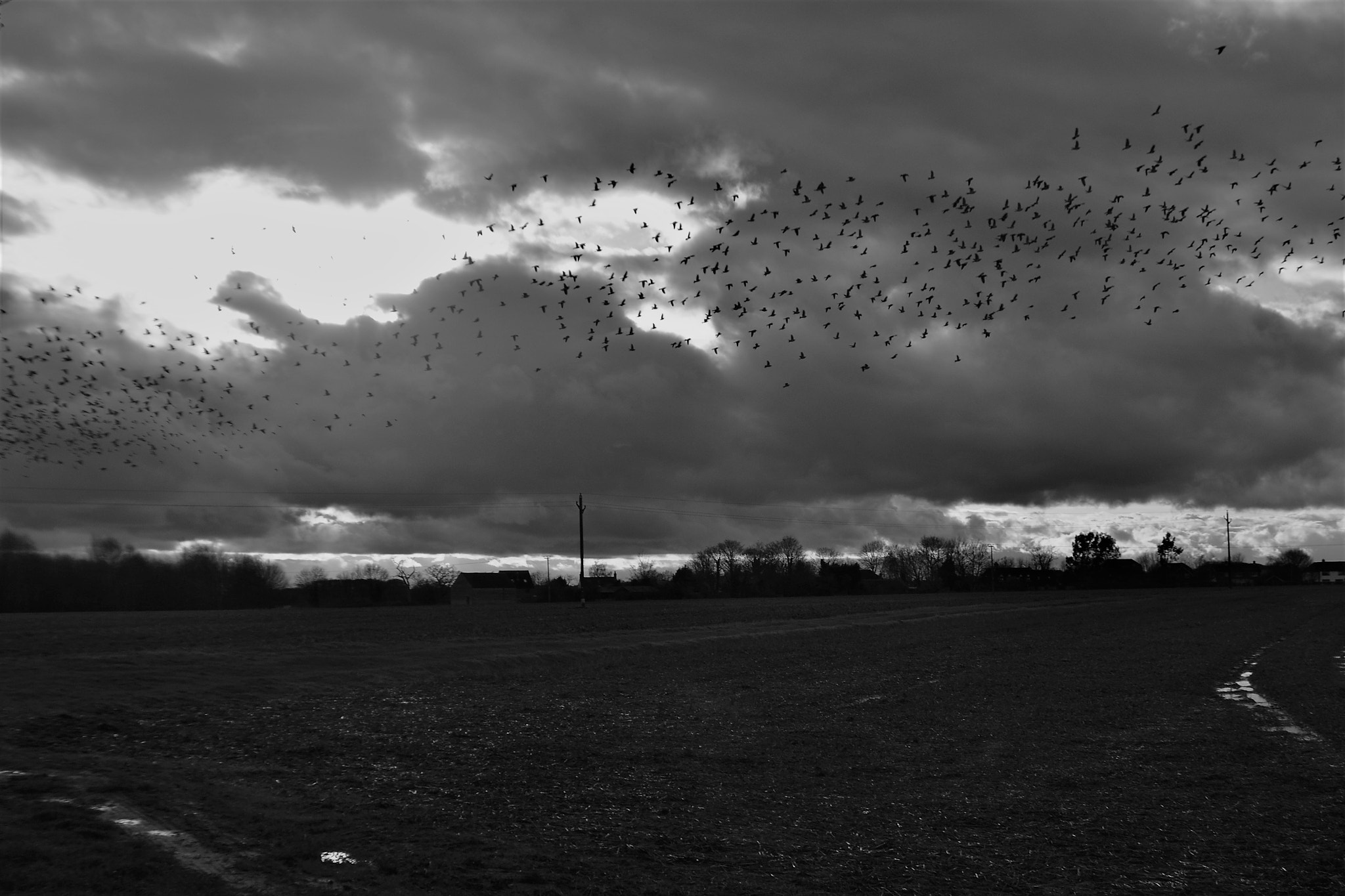 Nikon D3100 sample photo. Dark points on the sky photography